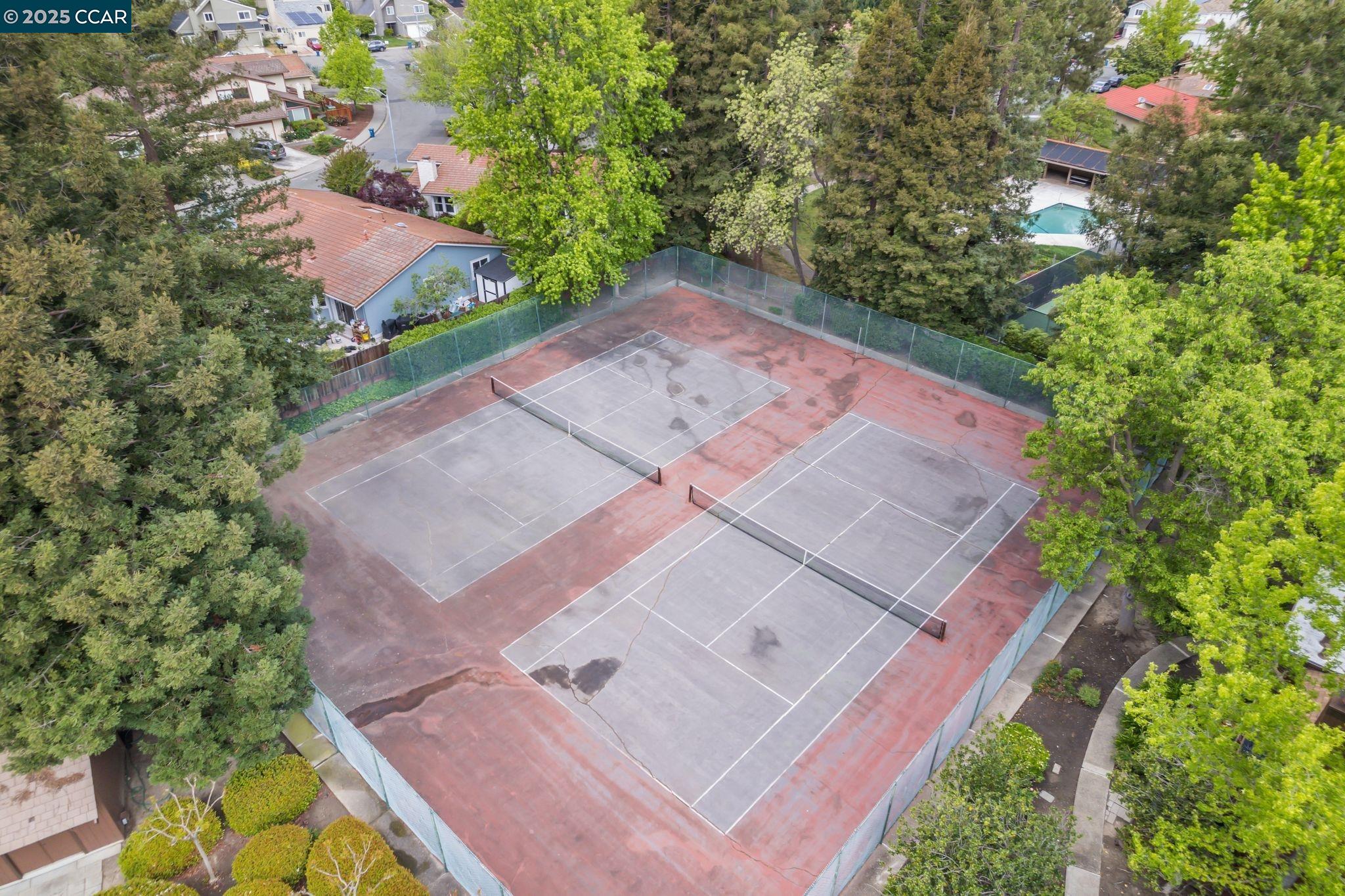 Photo #39: 41107838 Listing: Photo #39