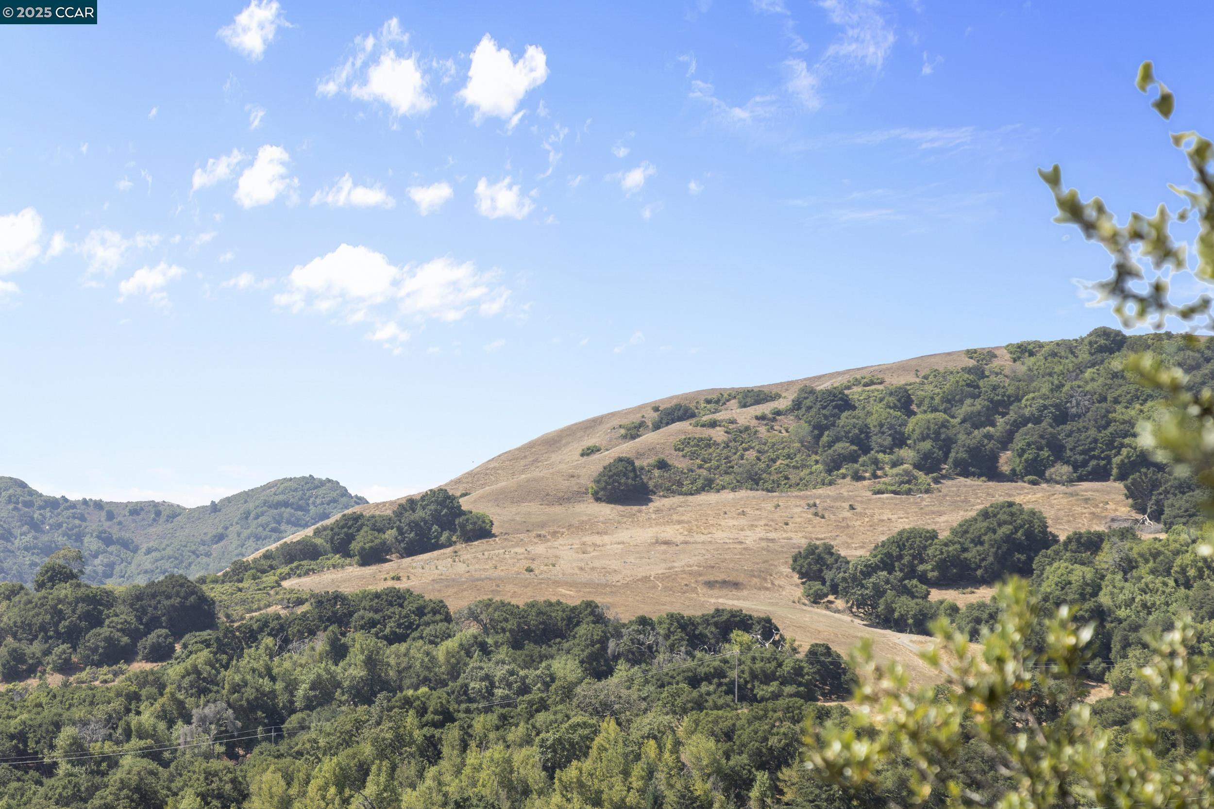 Detail Gallery Image 16 of 56 For 25 Watchwood Ct, Orinda,  CA 94563 - 3 Beds | 2/1 Baths