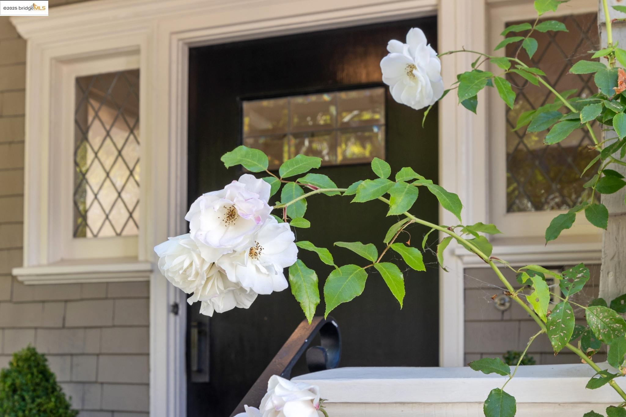 Detail Gallery Image 4 of 50 For 236 Bonita Ave, Piedmont,  CA 94611 - 4 Beds | 2/1 Baths