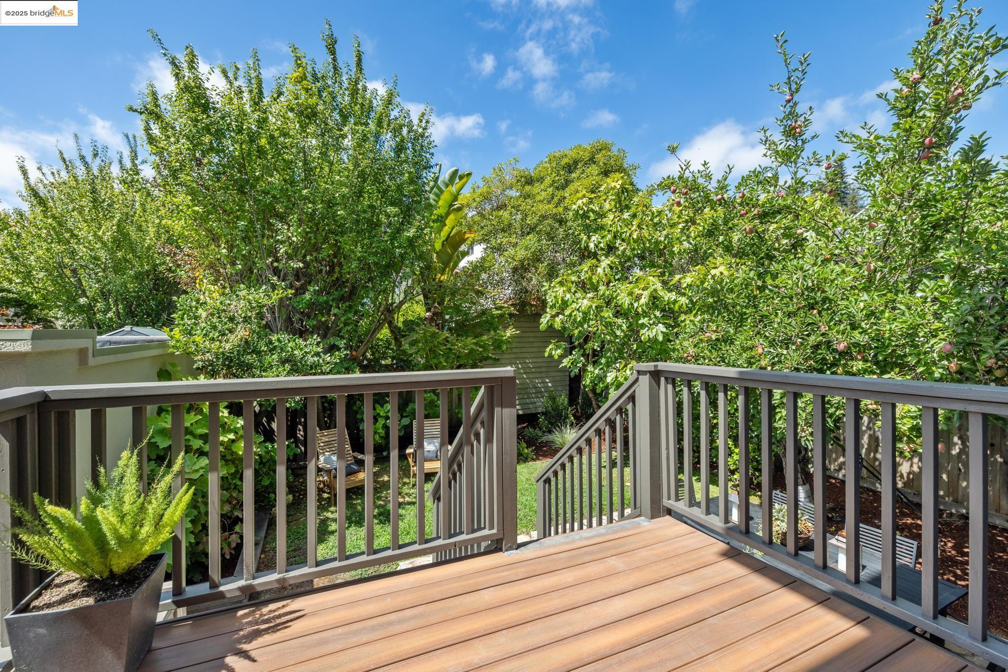 Detail Gallery Image 33 of 51 For 1071 Harvard Rd, Piedmont,  CA 94610 - 4 Beds | 2/1 Baths