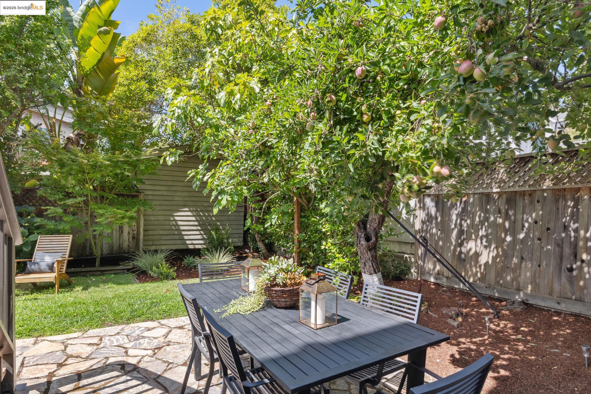 Detail Gallery Image 39 of 51 For 1071 Harvard Rd, Piedmont,  CA 94610 - 4 Beds | 2/1 Baths