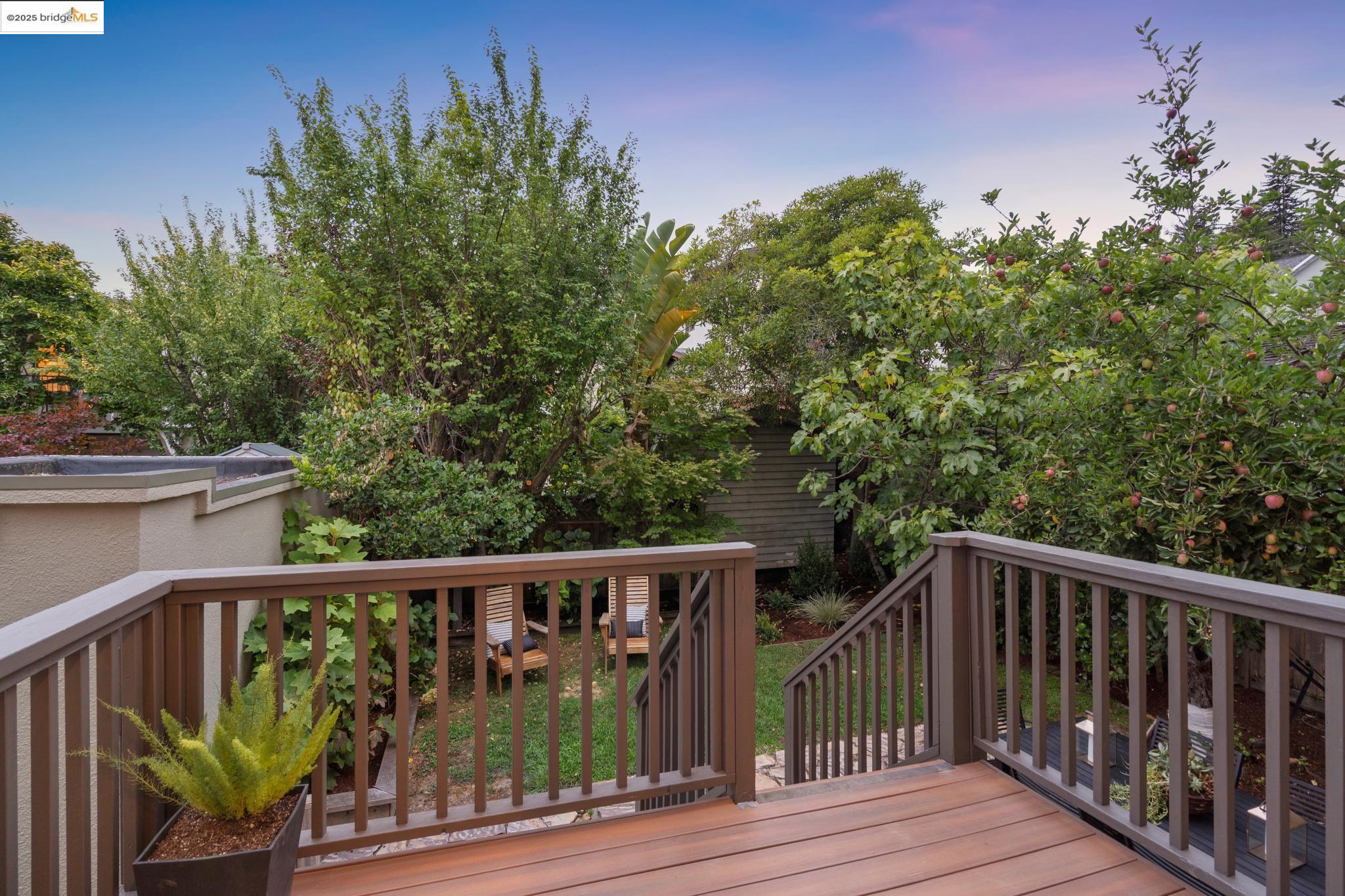 Detail Gallery Image 45 of 51 For 1071 Harvard Rd, Piedmont,  CA 94610 - 4 Beds | 2/1 Baths