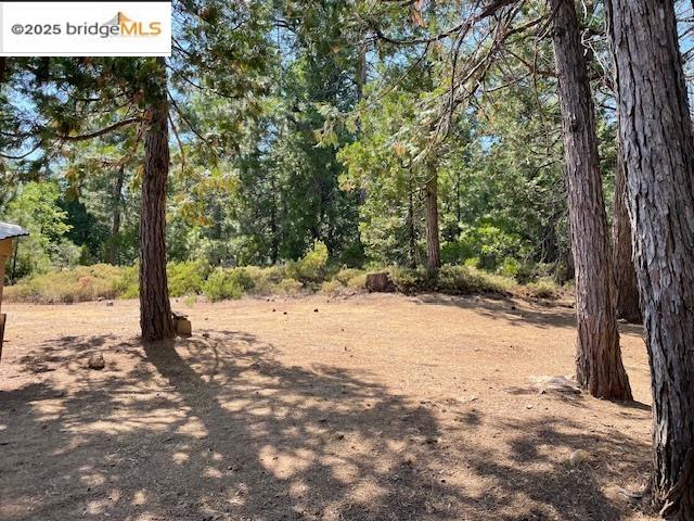 Detail Gallery Image 31 of 51 For 25186 Rebekah Rd, Long Barn,  CA 95335 - 3 Beds | 1/1 Baths