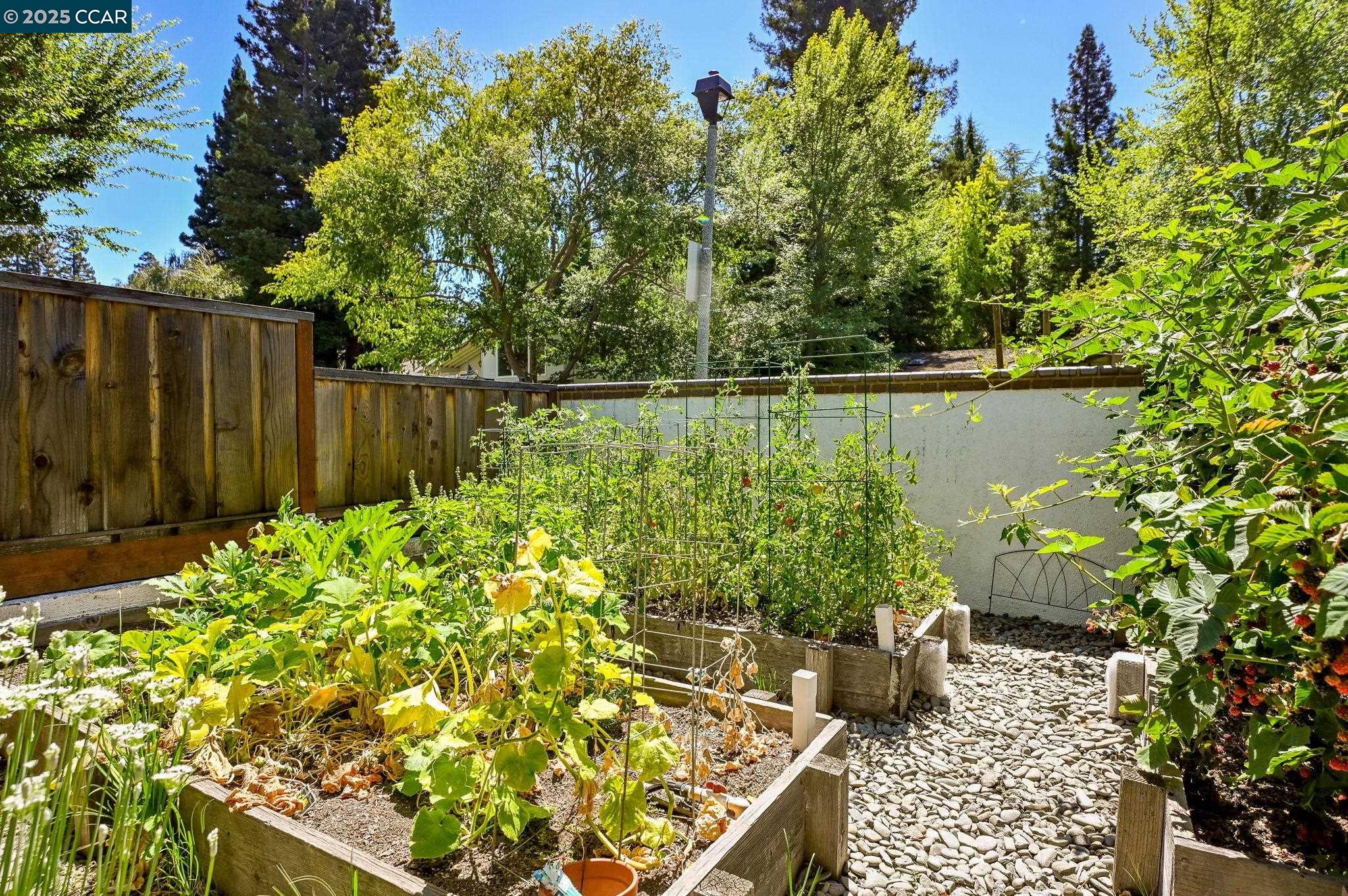 Detail Gallery Image 51 of 59 For 1023 White Gate Rd, Alamo,  CA 94507 - 4 Beds | 3/1 Baths
