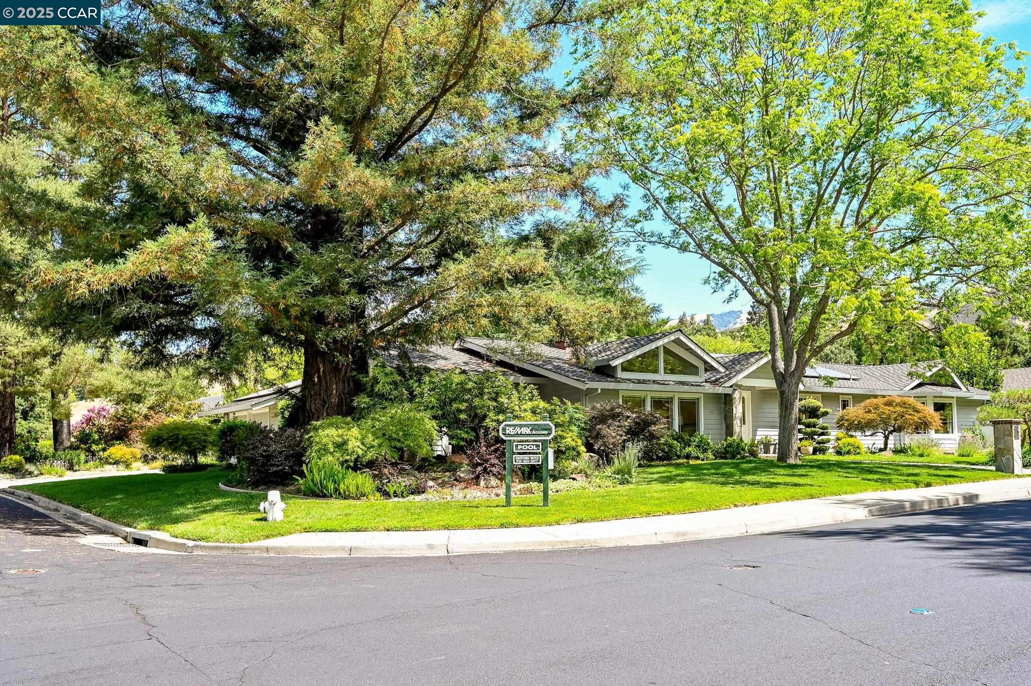 Detail Gallery Image 8 of 59 For 1023 White Gate Rd, Alamo,  CA 94507 - 4 Beds | 3/1 Baths