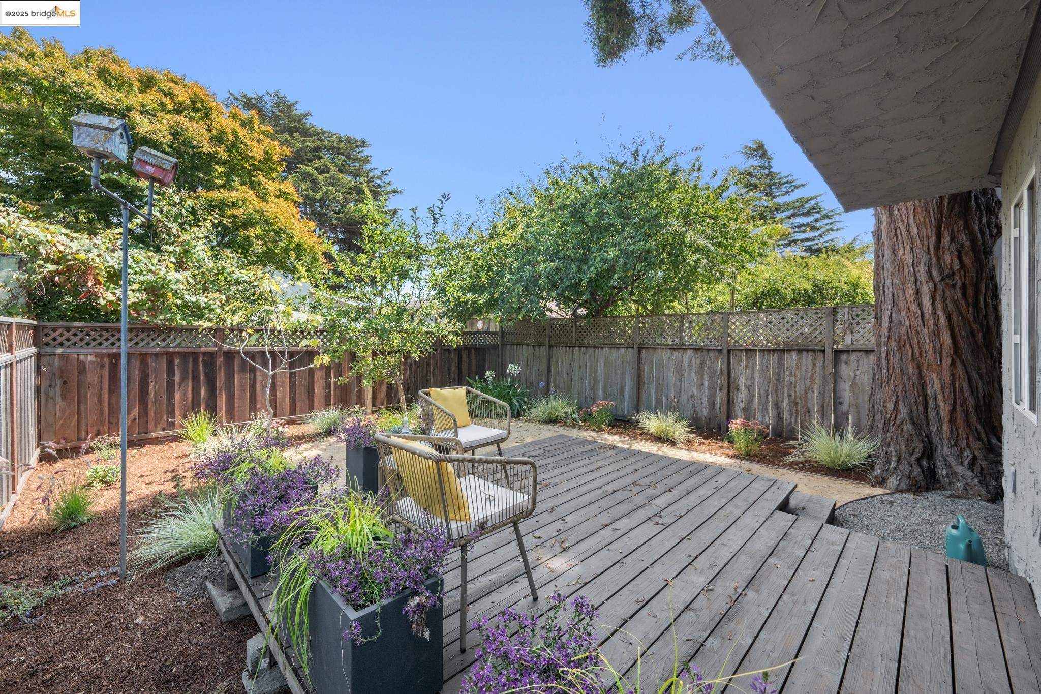 Detail Gallery Image 52 of 54 For 959 Kains Ave, Albany,  CA 94706 - 3 Beds | 3 Baths