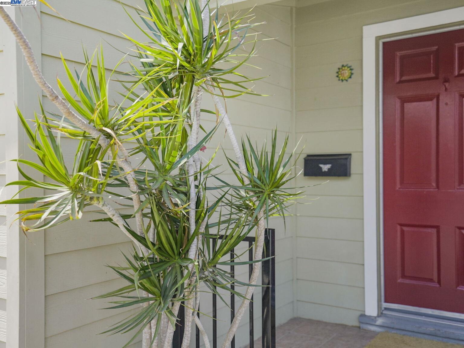 Detail Gallery Image 15 of 60 For 455 32nd St, Richmond,  CA 94804 - 3 Beds | 2 Baths
