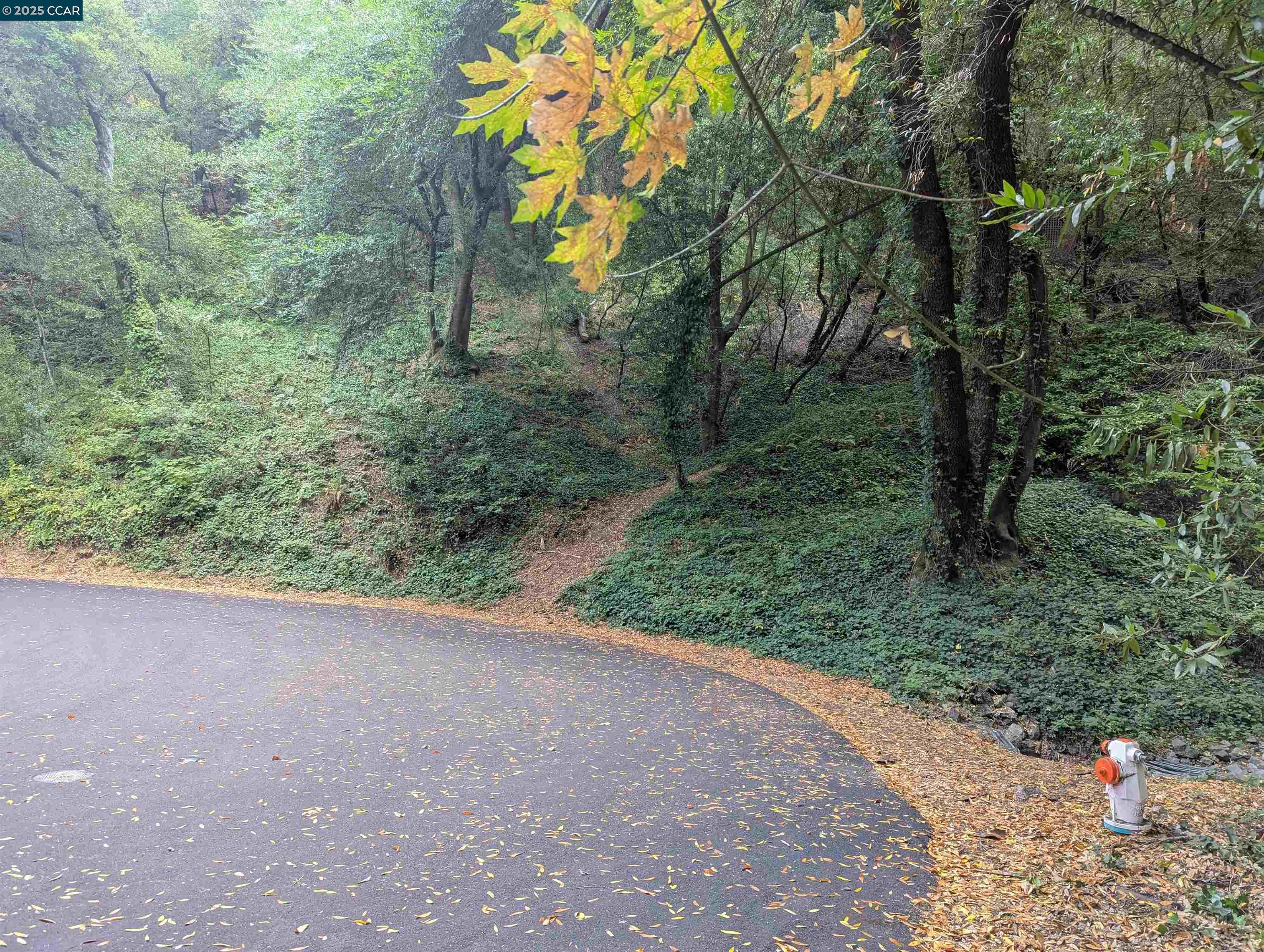 Detail Gallery Image 6 of 15 For 199 Cañon Drive, Orinda,  CA 94563 - – Beds | – Baths
