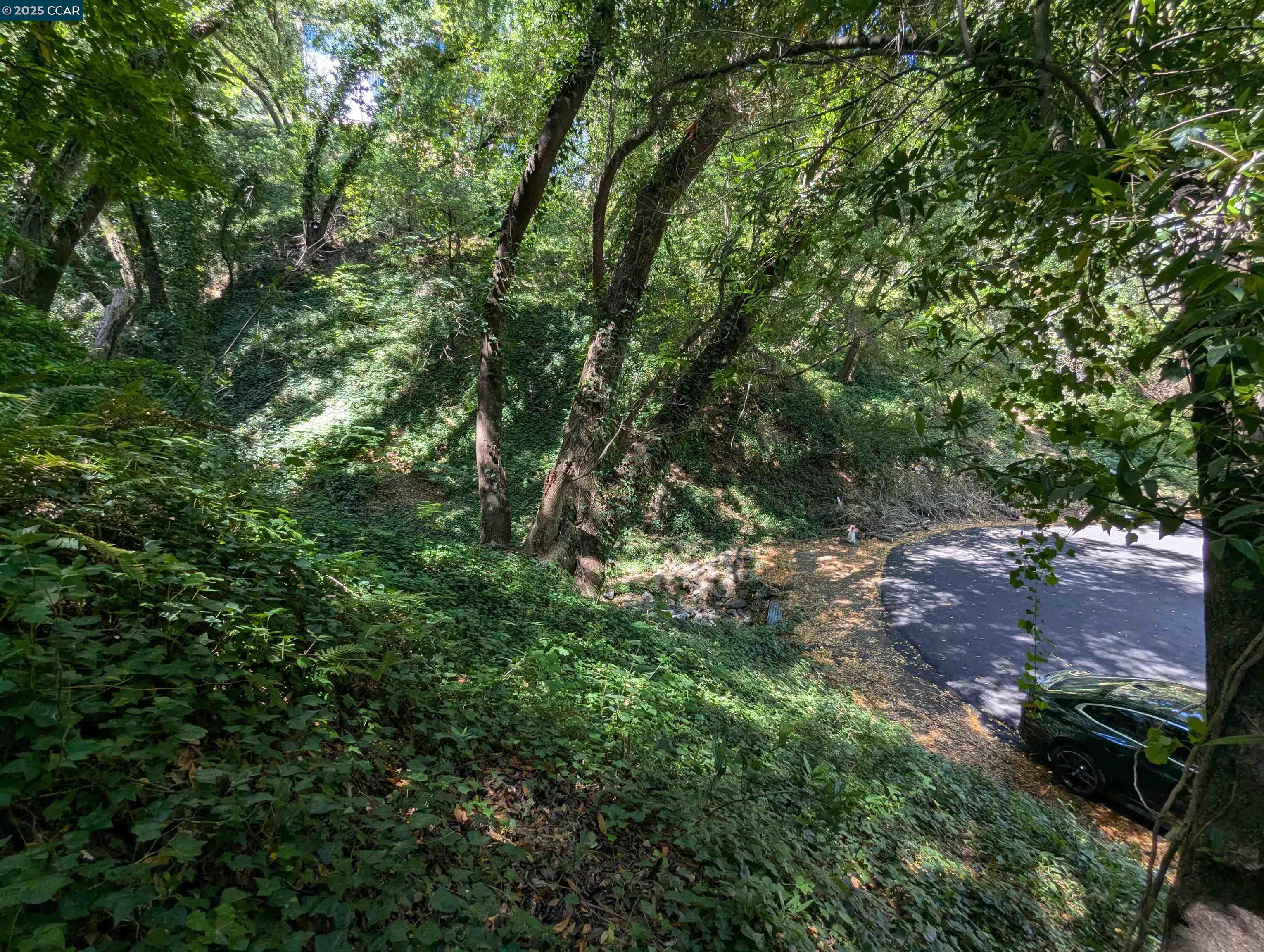 Detail Gallery Image 10 of 15 For 199 Cañon Drive, Orinda,  CA 94563 - – Beds | – Baths