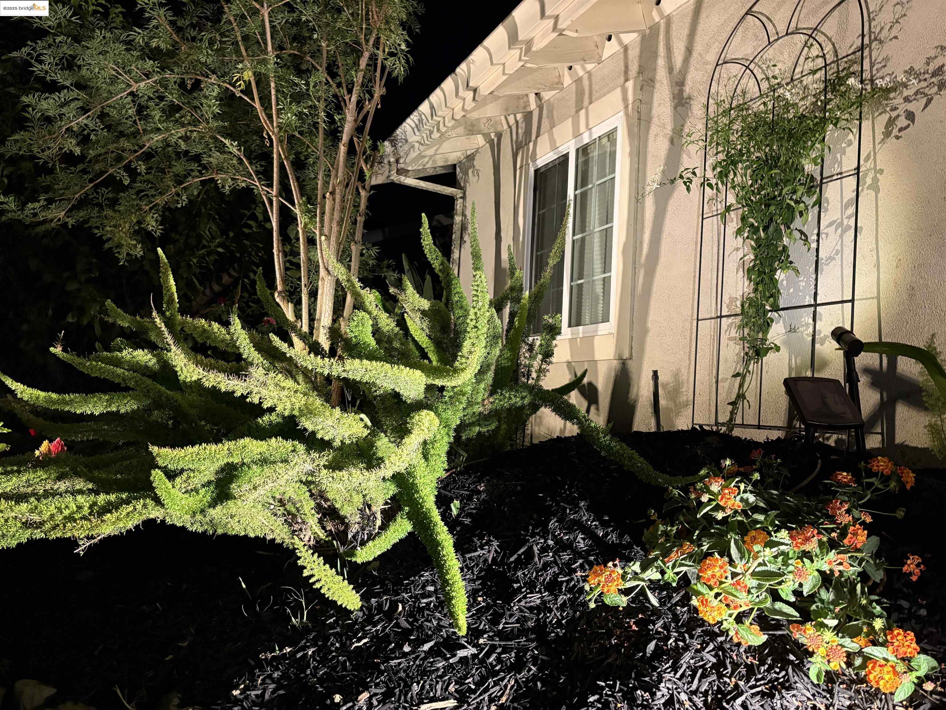Detail Gallery Image 55 of 60 For 1443 Phantom Ave, San Jose,  CA 95125-5220 - 3 Beds | 2 Baths