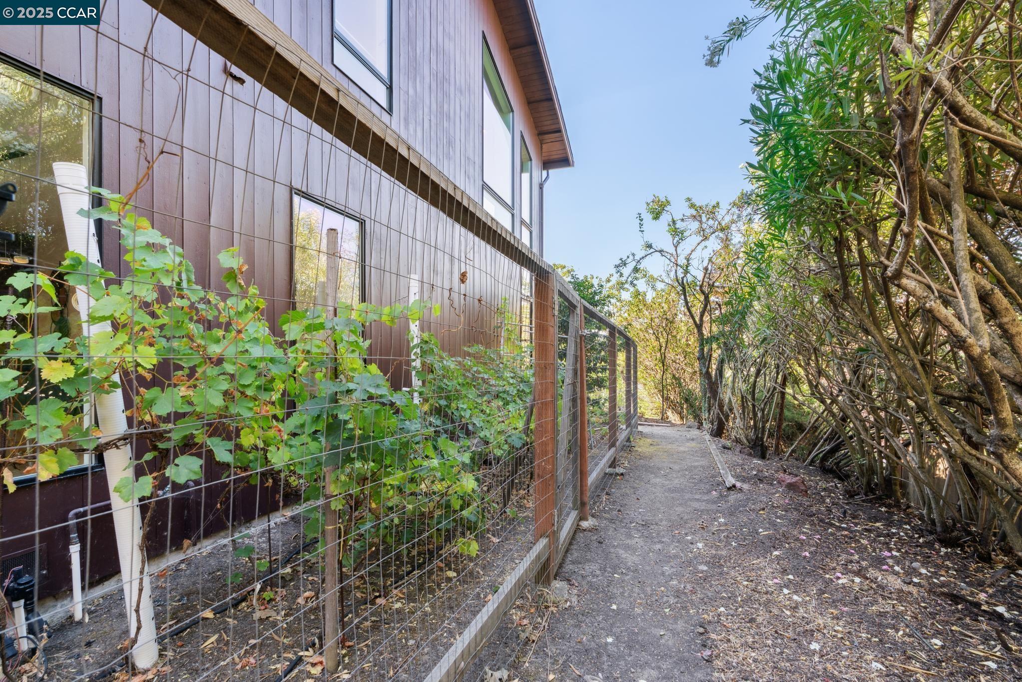 Detail Gallery Image 16 of 51 For 127 Devin Dr, Moraga,  CA 94556 - 6 Beds | 4/1 Baths