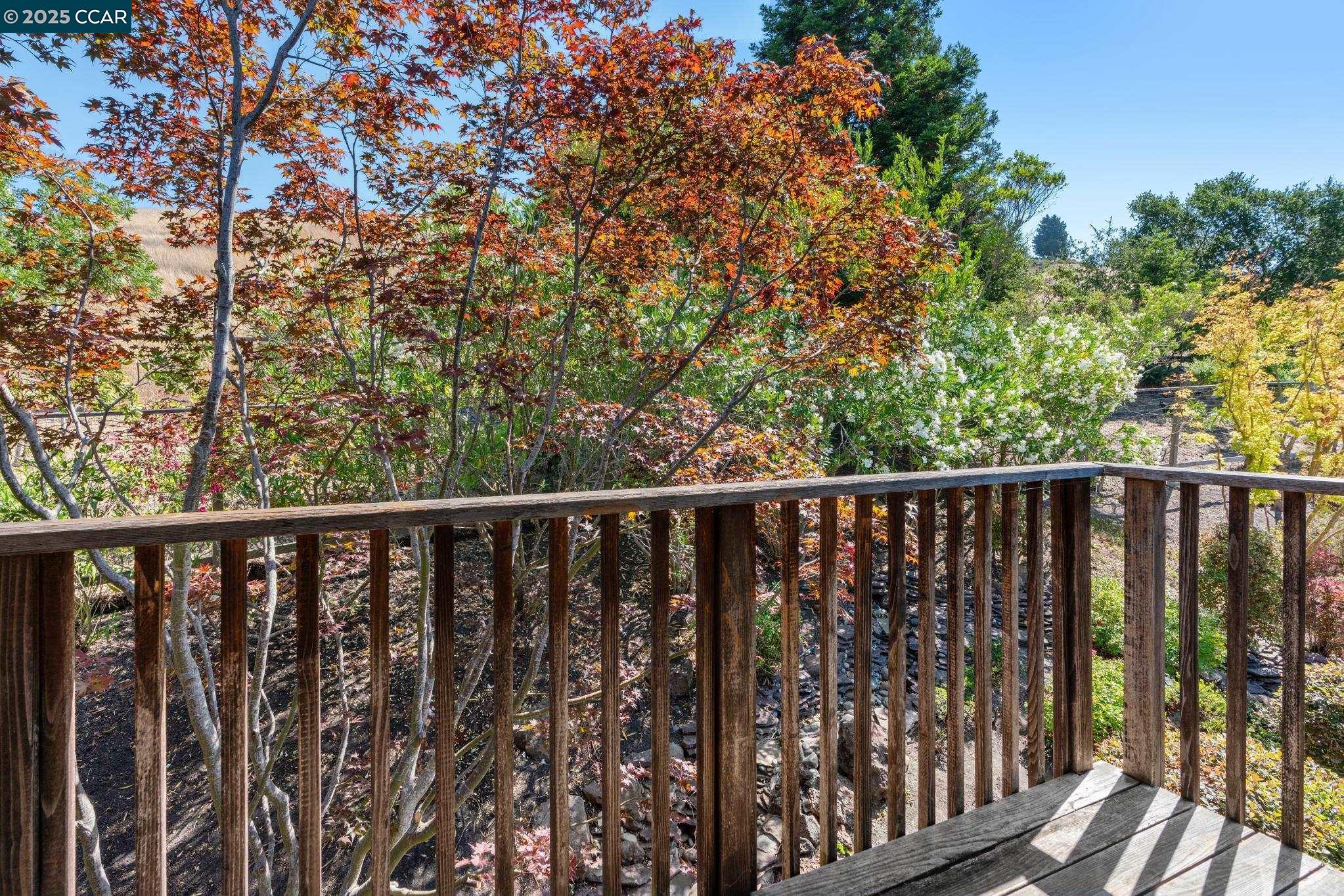 Detail Gallery Image 32 of 51 For 127 Devin Dr, Moraga,  CA 94556 - 6 Beds | 4/1 Baths