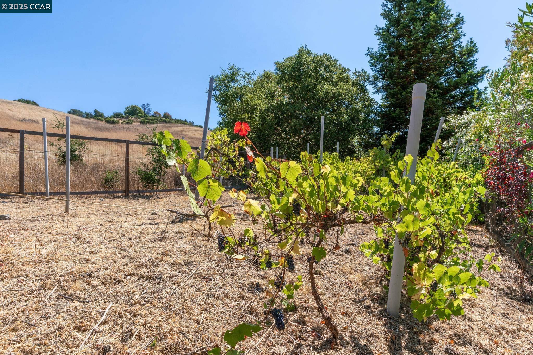 Detail Gallery Image 49 of 49 For 127 Devin Dr, Moraga,  CA 94556 - 6 Beds | 4/1 Baths