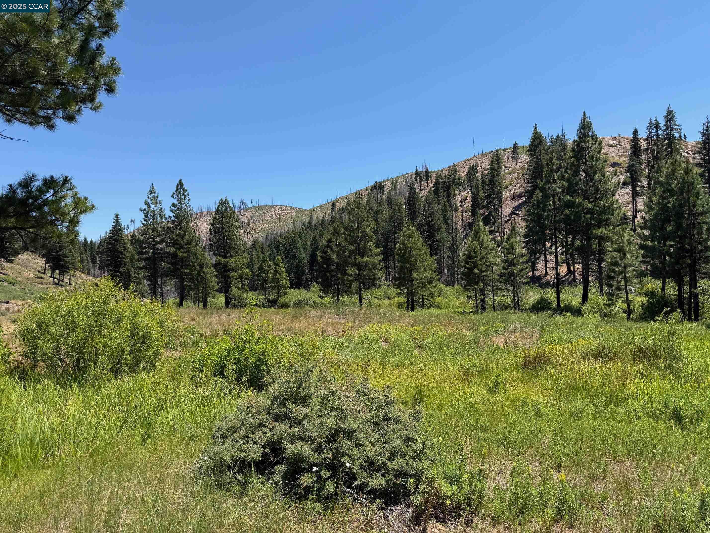 Detail Gallery Image 1 of 15 For 0000 Ohio Valley, Canyon Dam,  CA 95923 - – Beds | – Baths