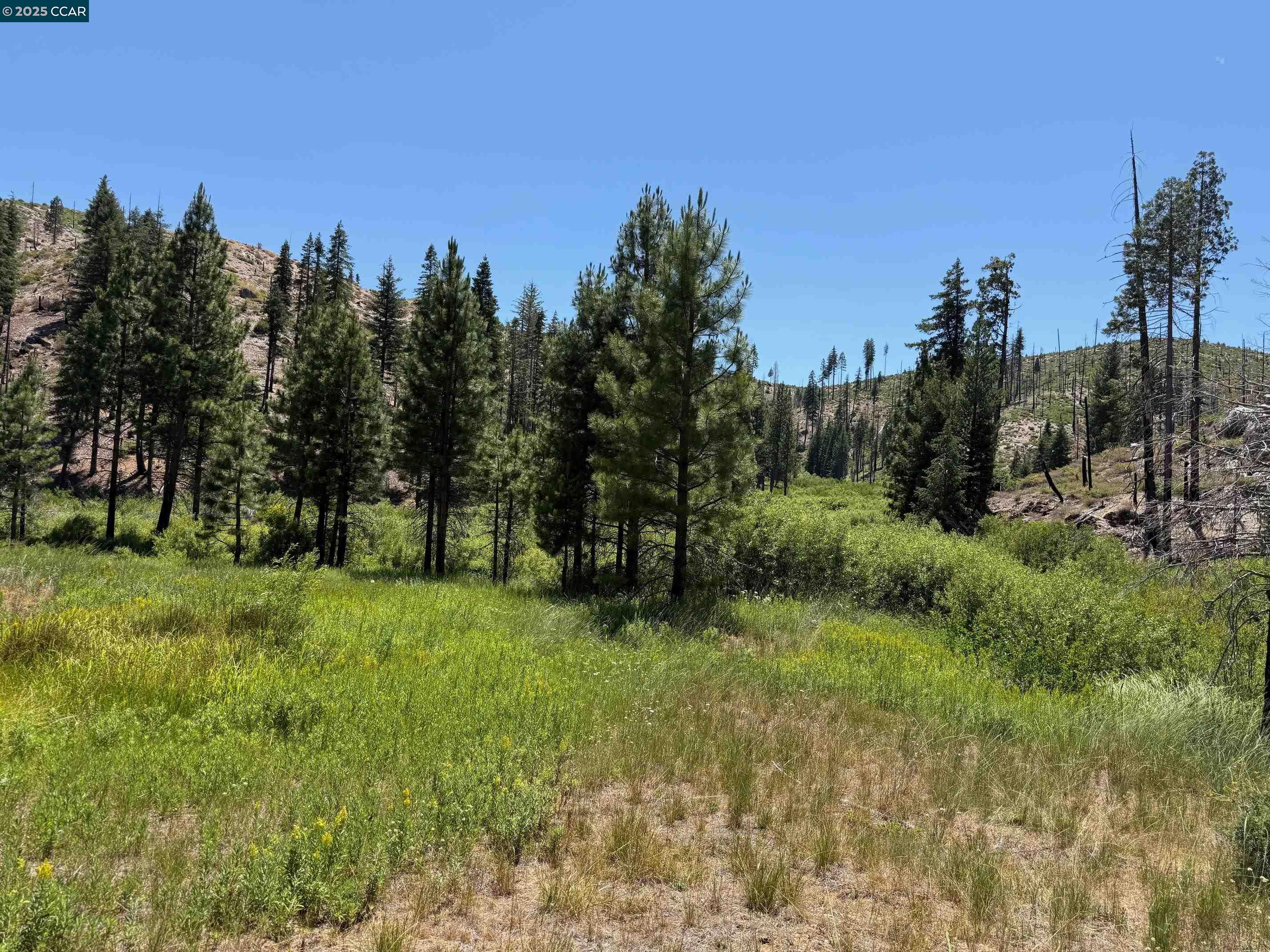 Detail Gallery Image 2 of 15 For 0000 Ohio Valley, Canyon Dam,  CA 95923 - – Beds | – Baths