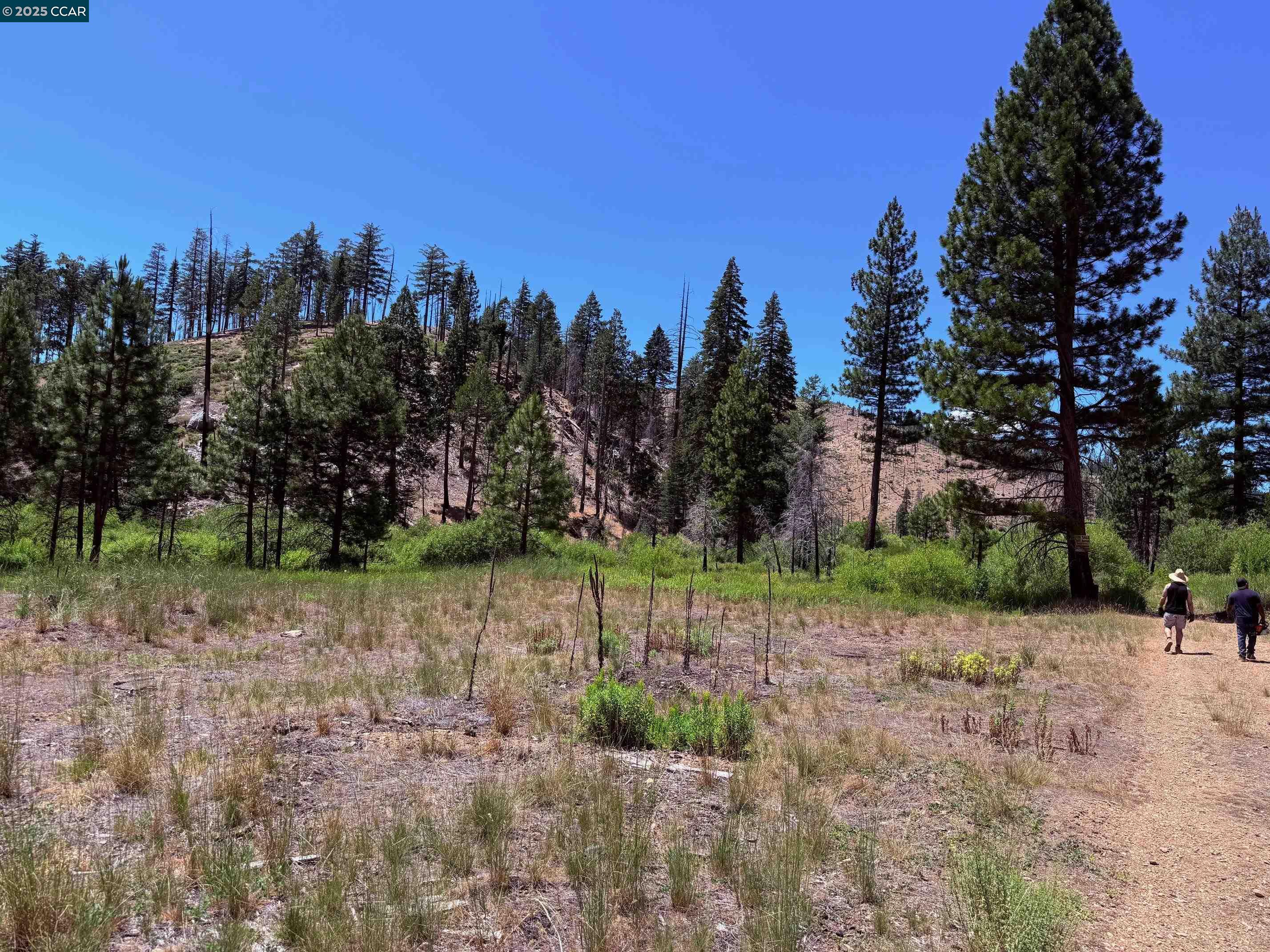 Detail Gallery Image 11 of 15 For 0000 Ohio Valley, Canyon Dam,  CA 95923 - – Beds | – Baths