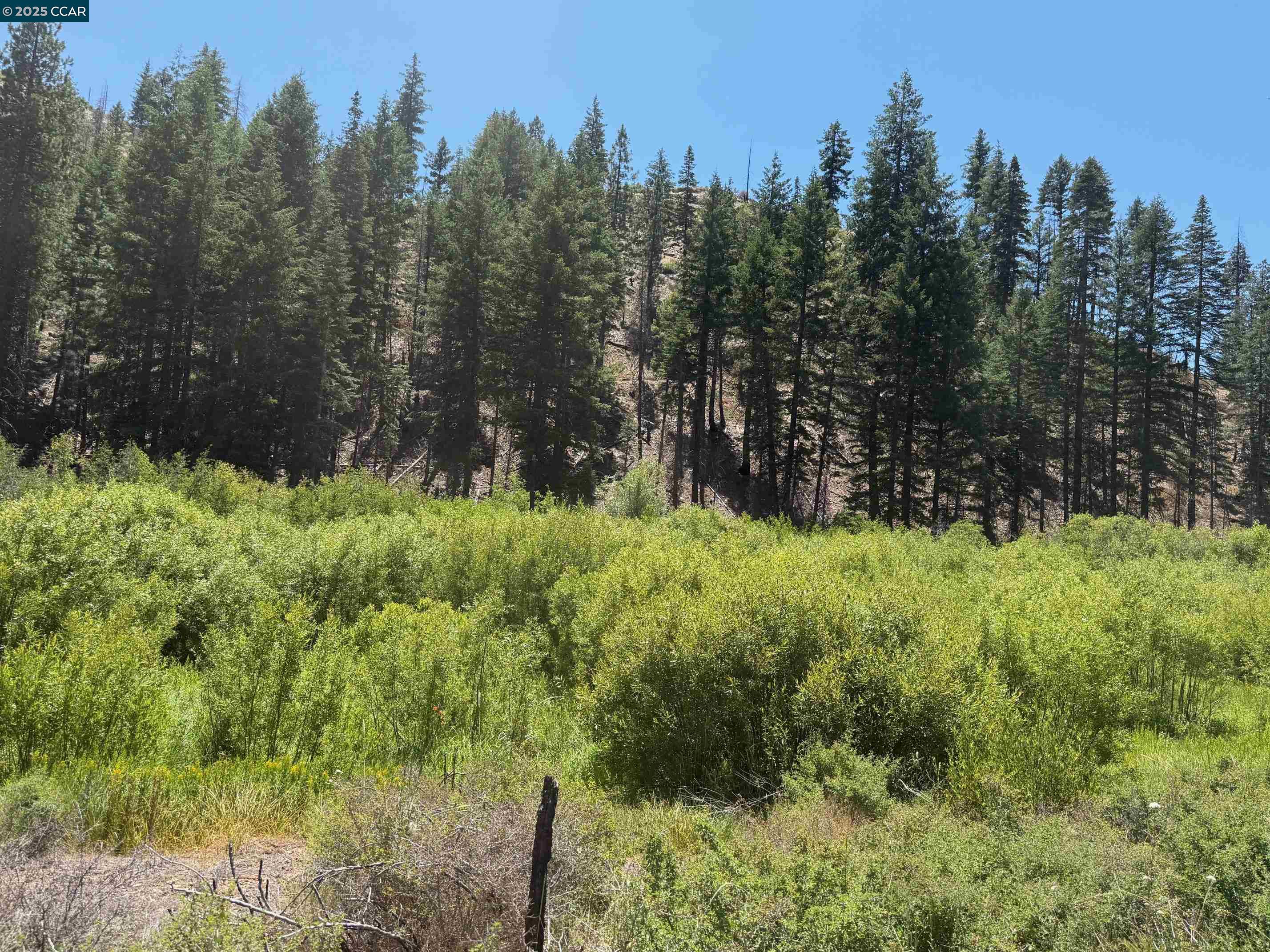 Detail Gallery Image 3 of 15 For 0000 Ohio Valley, Canyon Dam,  CA 95923 - – Beds | – Baths