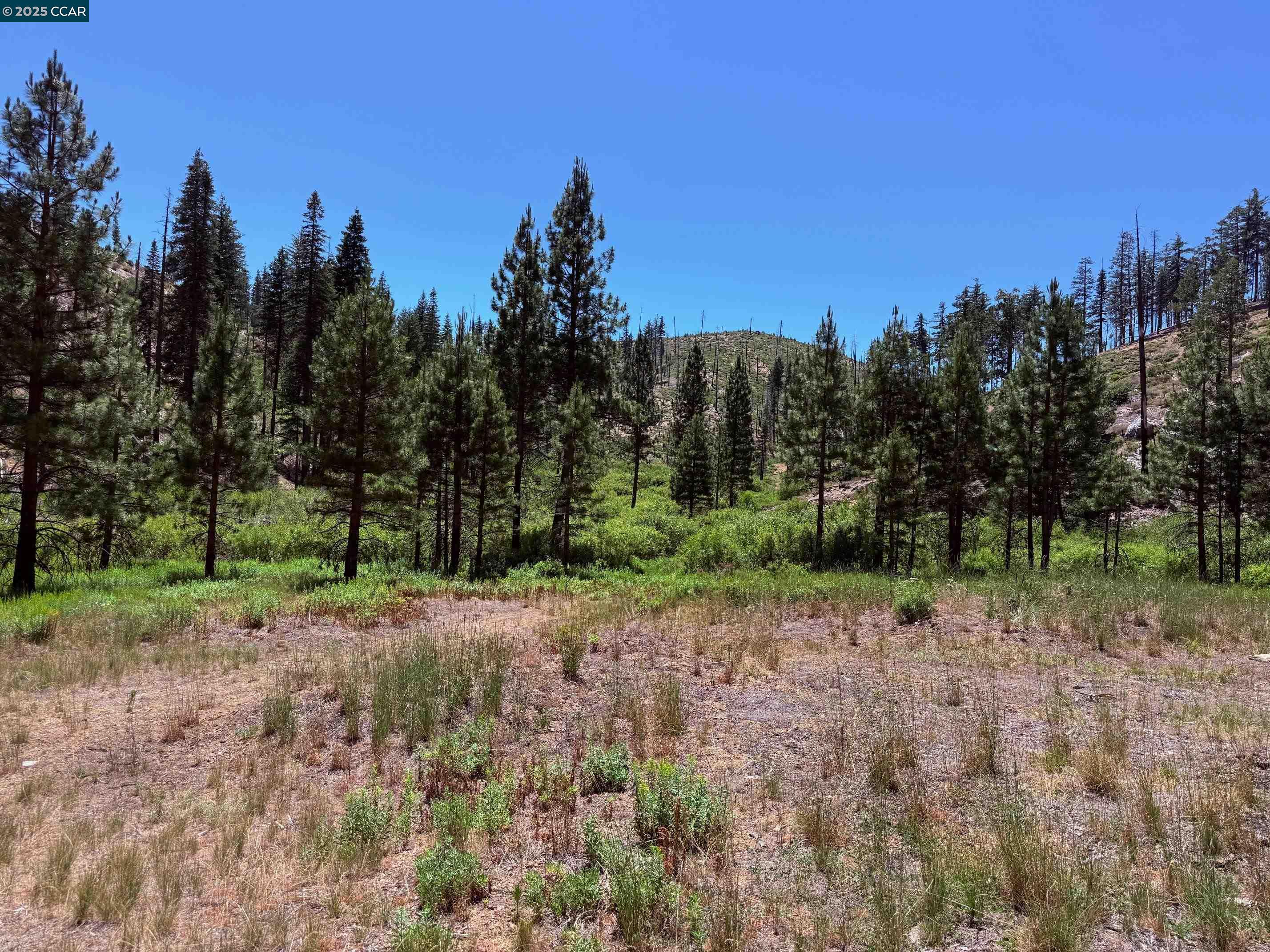 Detail Gallery Image 4 of 15 For 0000 Ohio Valley, Canyon Dam,  CA 95923 - – Beds | – Baths