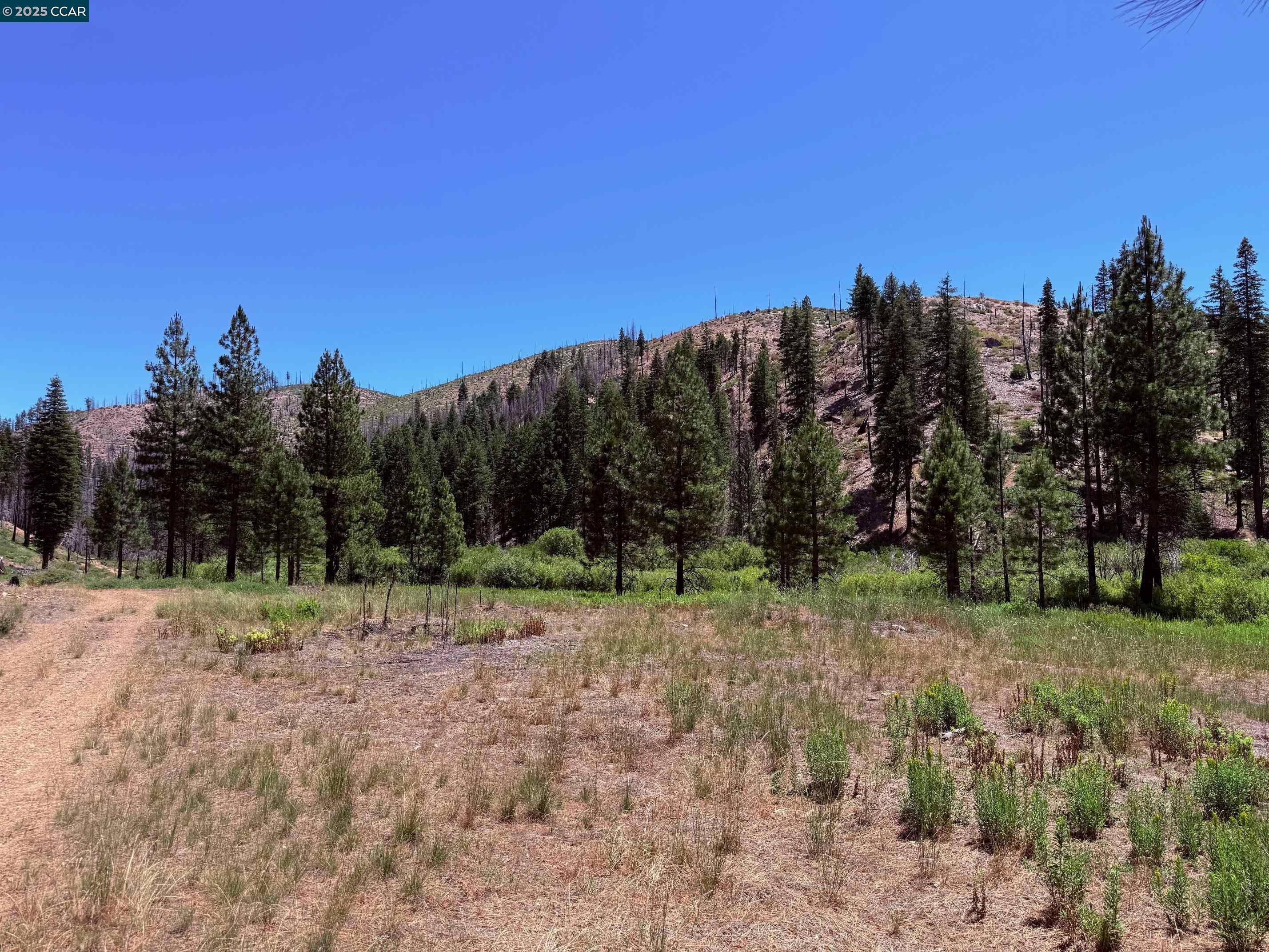 Detail Gallery Image 5 of 15 For 0000 Ohio Valley, Canyon Dam,  CA 95923 - – Beds | – Baths