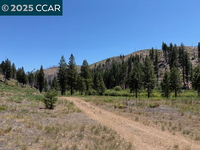 Detail Gallery Image 6 of 15 For 0000 Ohio Valley, Canyon Dam,  CA 95923 - – Beds | – Baths
