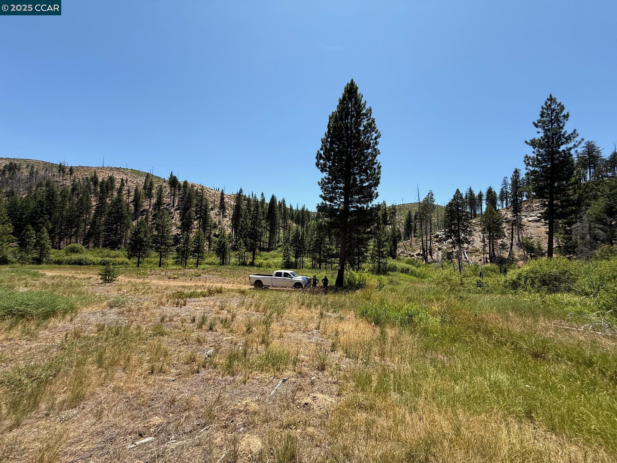 Detail Gallery Image 10 of 15 For 0000 Ohio Valley, Canyon Dam,  CA 95923 - – Beds | – Baths