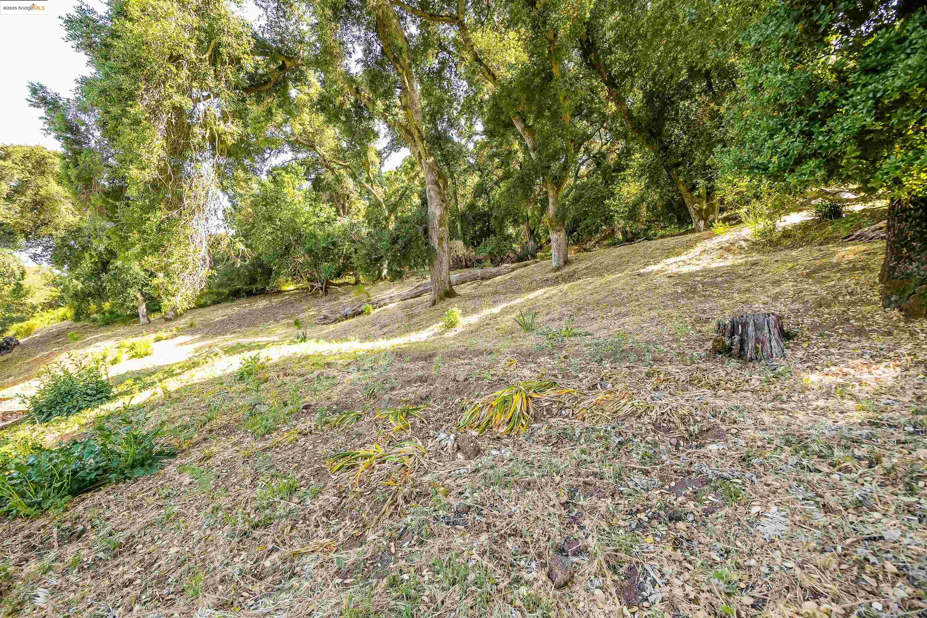 Detail Gallery Image 48 of 53 For 102 Castlewood, Pleasanton,  CA 94566 - 5 Beds | 3 Baths