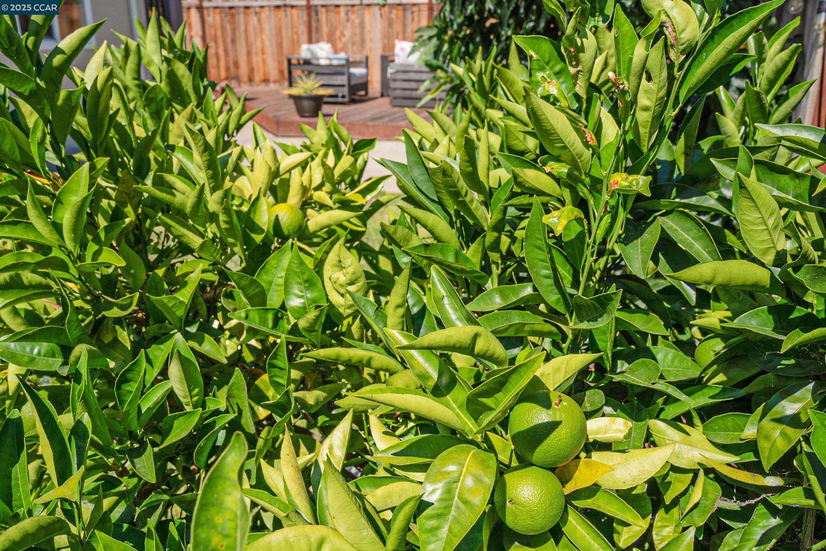 Detail Gallery Image 30 of 39 For 1058 Victoria Ave, San Leandro,  CA 94577 - 2 Beds | 1 Baths