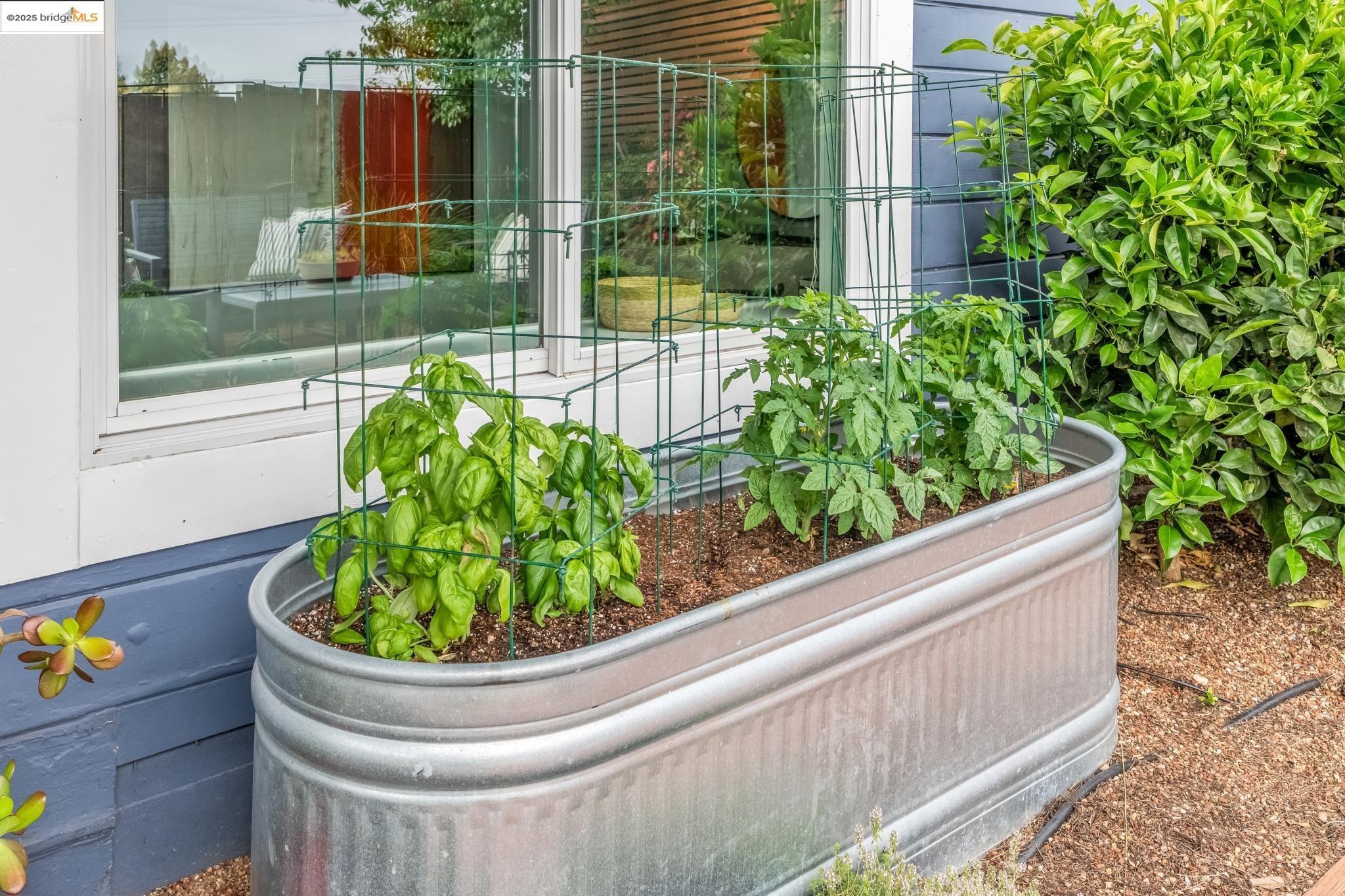 Detail Gallery Image 53 of 60 For 6934 Fairview Dr, El Cerrito,  CA 94530 - 4 Beds | 2 Baths