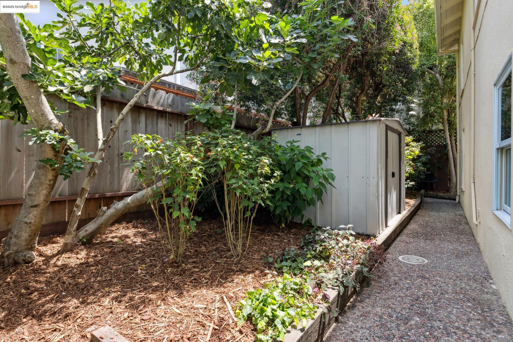 Detail Gallery Image 37 of 38 For 2140 Rose St, Berkeley,  CA 94709 - 3 Beds | 2 Baths