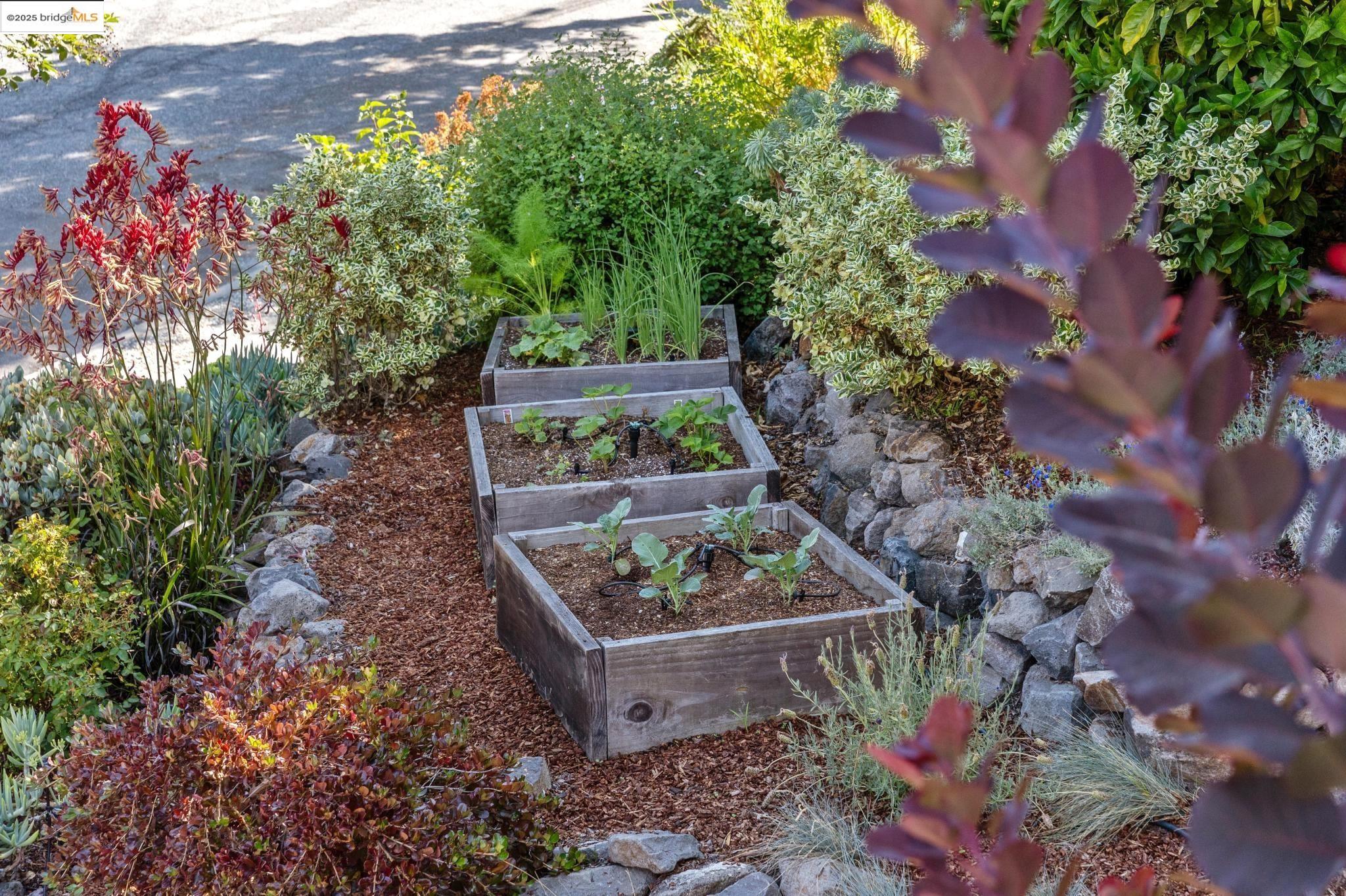 Detail Gallery Image 3 of 60 For 941 Warfield Ave, Oakland,  CA 94610 - 3 Beds | 2 Baths