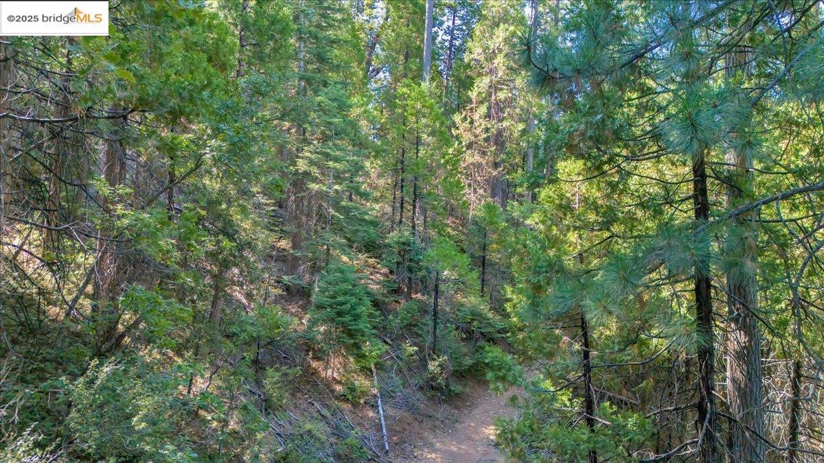 Detail Gallery Image 12 of 15 For 0 Fallen Leaf Ln, Twain Harte,  CA 95383 - – Beds | – Baths