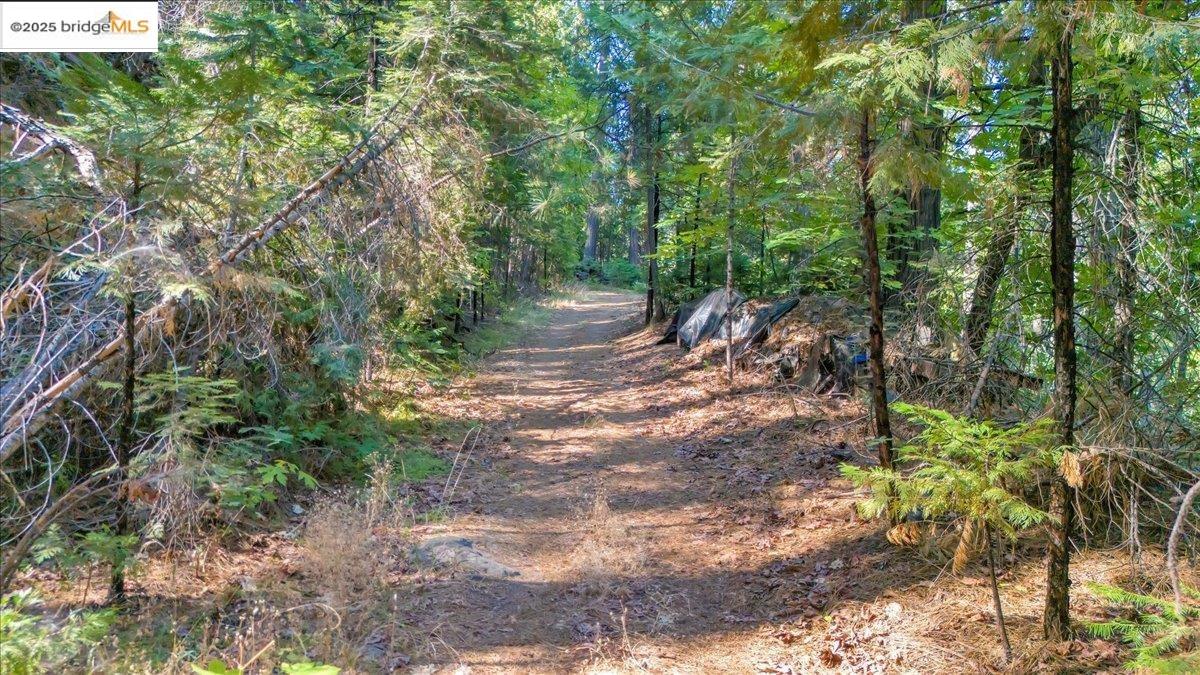 Detail Gallery Image 5 of 15 For 0 Fallen Leaf Ln, Twain Harte,  CA 95383 - – Beds | – Baths