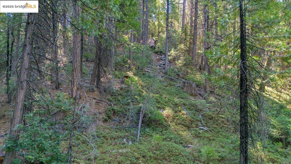 Detail Gallery Image 9 of 15 For 0 Fallen Leaf Ln, Twain Harte,  CA 95383 - – Beds | – Baths