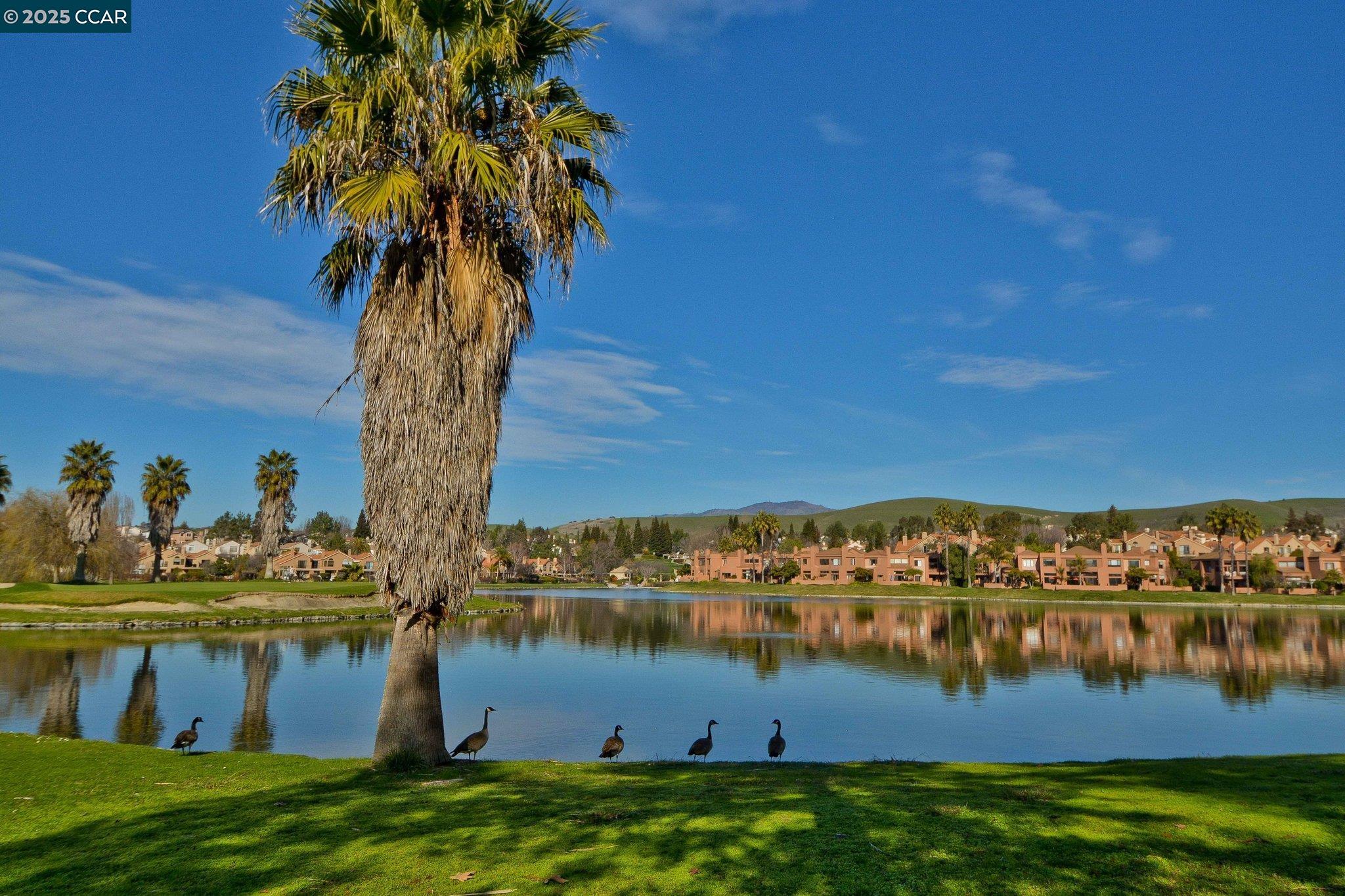Detail Gallery Image 13 of 19 For 30 Eagle Lake Place #11,  San Ramon,  CA 94582 - 2 Beds | 2 Baths