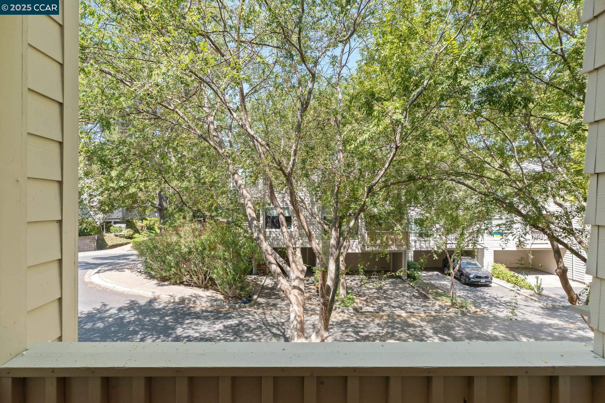 Photo #46: 41108097 Listing: Photo #46