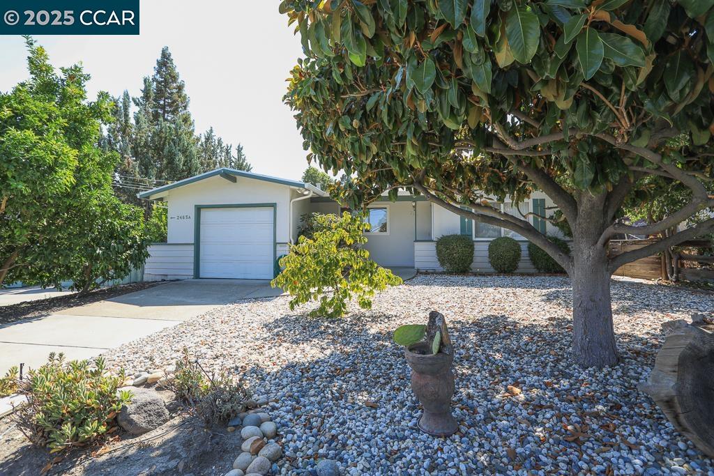 Detail Gallery Image 31 of 55 For 2465 Buena Vista Ave, Walnut Creek,  CA 94597 - 3 Beds | 2 Baths