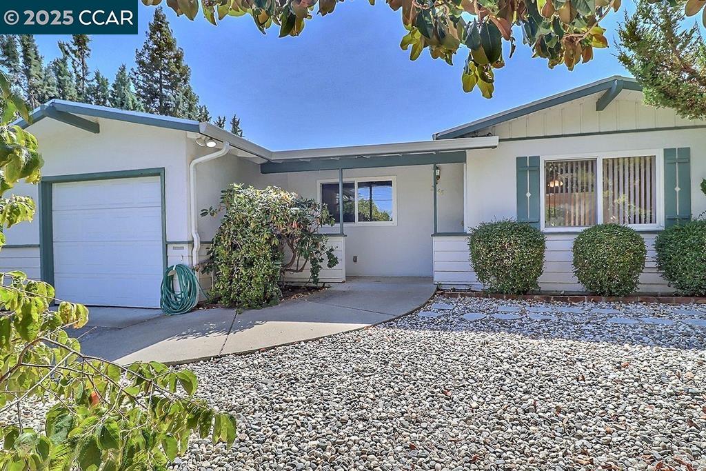 Detail Gallery Image 35 of 55 For 2465 Buena Vista Ave, Walnut Creek,  CA 94597 - 3 Beds | 2 Baths