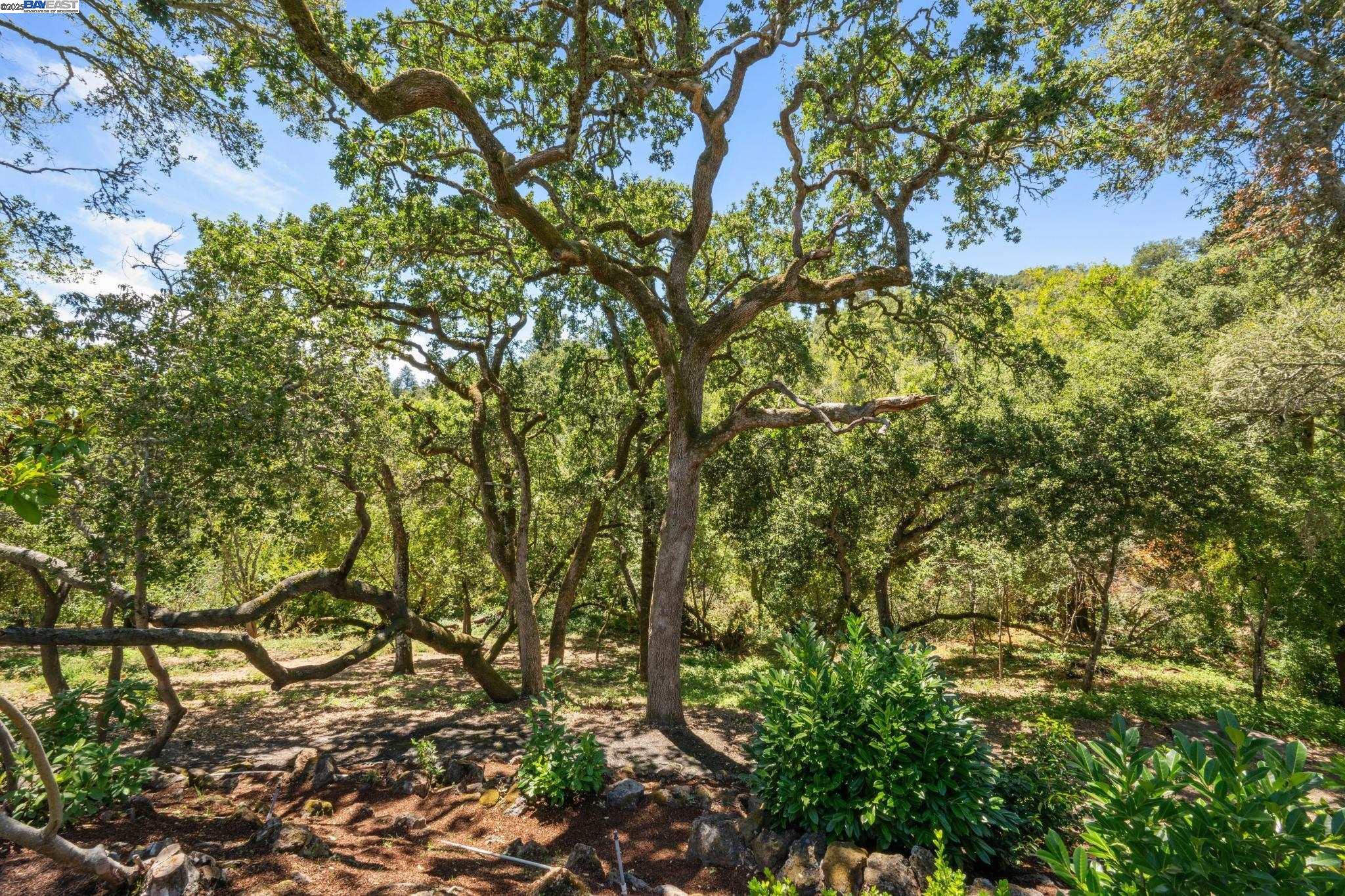 Detail Gallery Image 54 of 60 For 11 Crane Court, Orinda,  CA 94563 - 5 Beds | 5/1 Baths