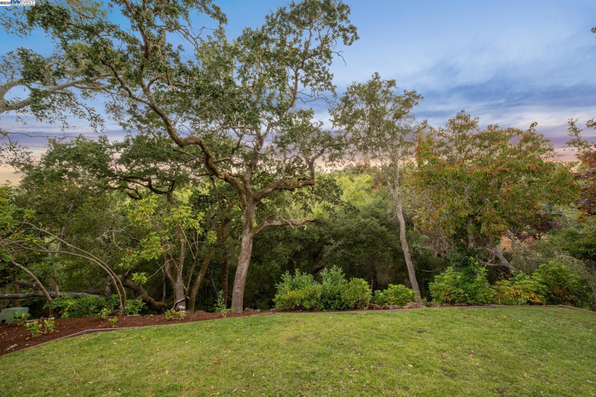 Detail Gallery Image 58 of 60 For 11 Crane Court, Orinda,  CA 94563 - 5 Beds | 5/1 Baths