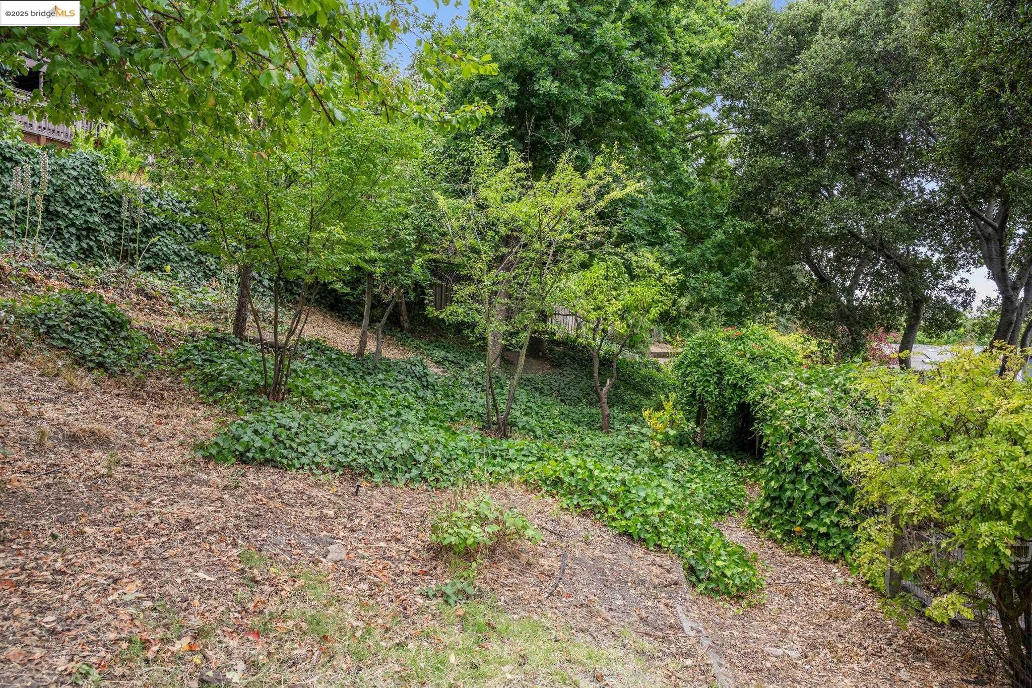 Detail Gallery Image 41 of 51 For 679 Mandana Blvd, Oakland,  CA 94610 - 3 Beds | 2 Baths