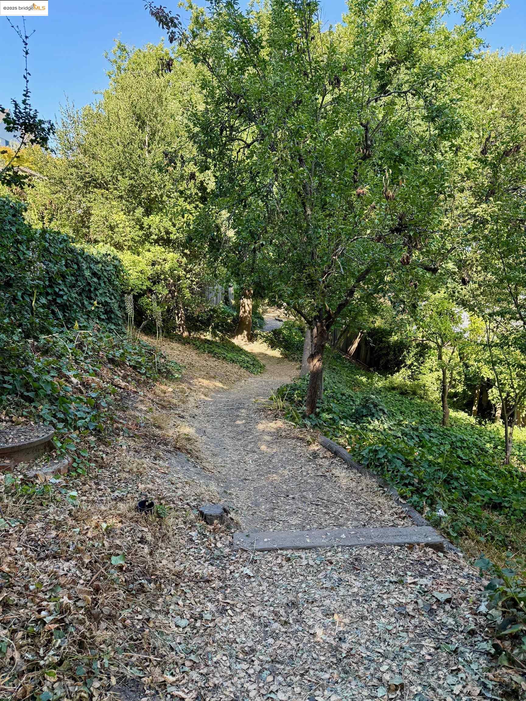 Detail Gallery Image 51 of 51 For 679 Mandana Blvd, Oakland,  CA 94610 - 3 Beds | 2 Baths
