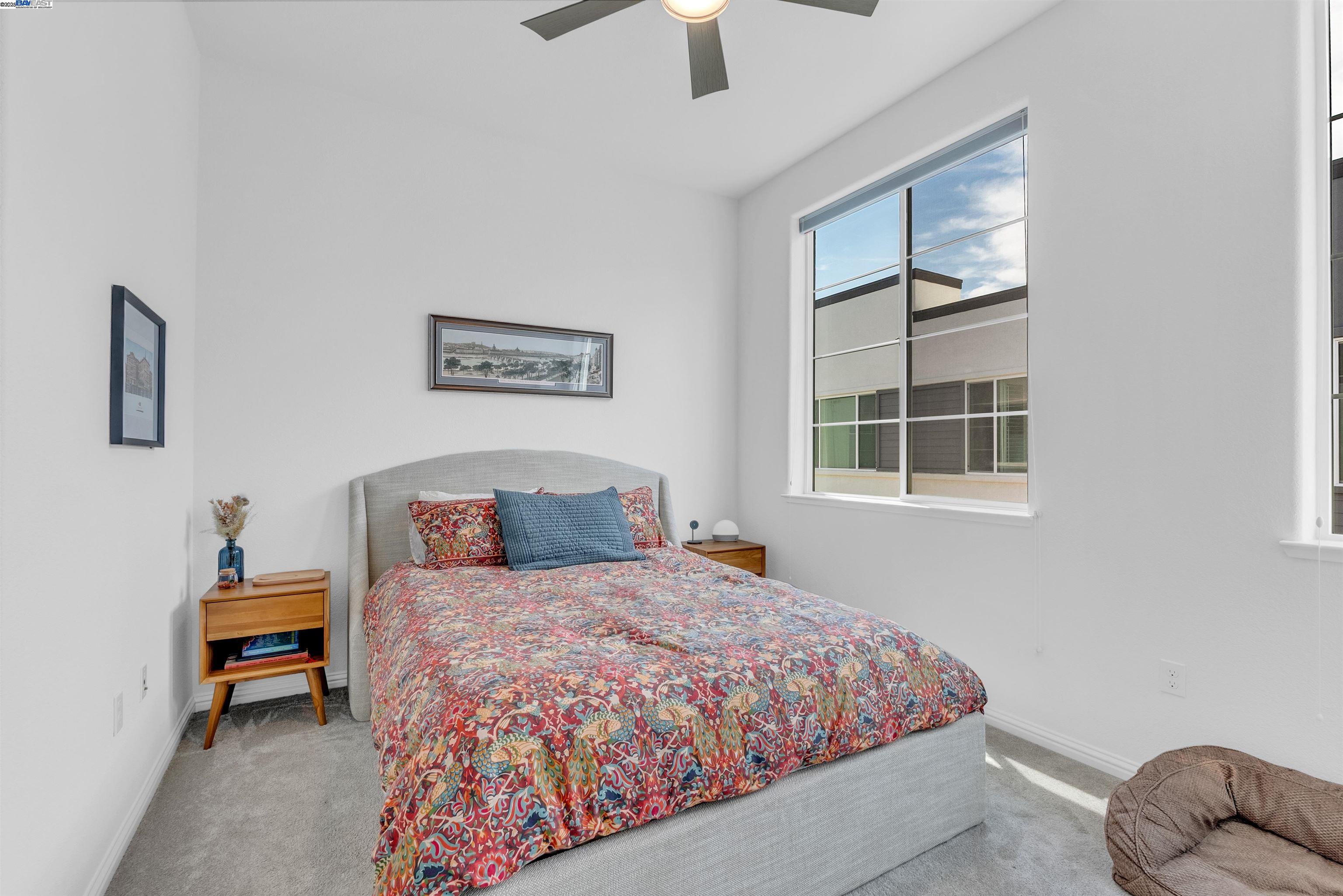 Photo #16: 41108136 Listing: Photo #16