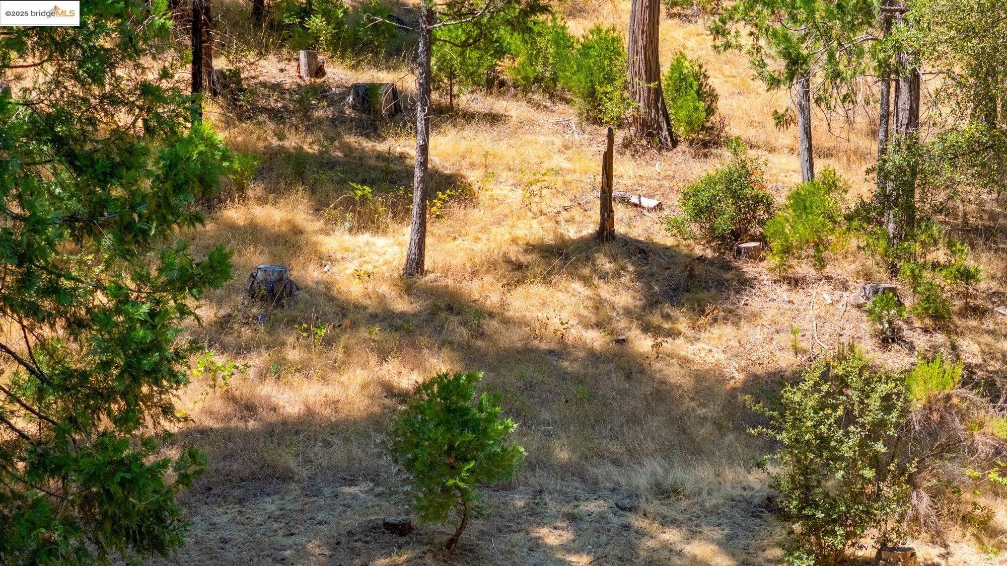 Detail Gallery Image 29 of 45 For 20055 Pine Mountain Drive, Groveland,  CA 95321 - 3 Beds | 2 Baths