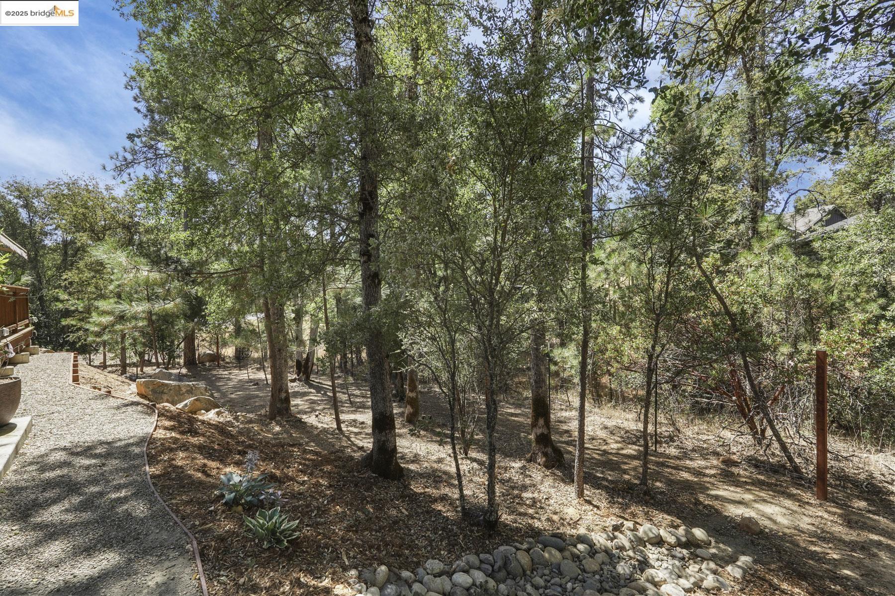 Detail Gallery Image 42 of 57 For 14068 Kyrsta Court, Sonora,  CA 95370 - 3 Beds | 2 Baths
