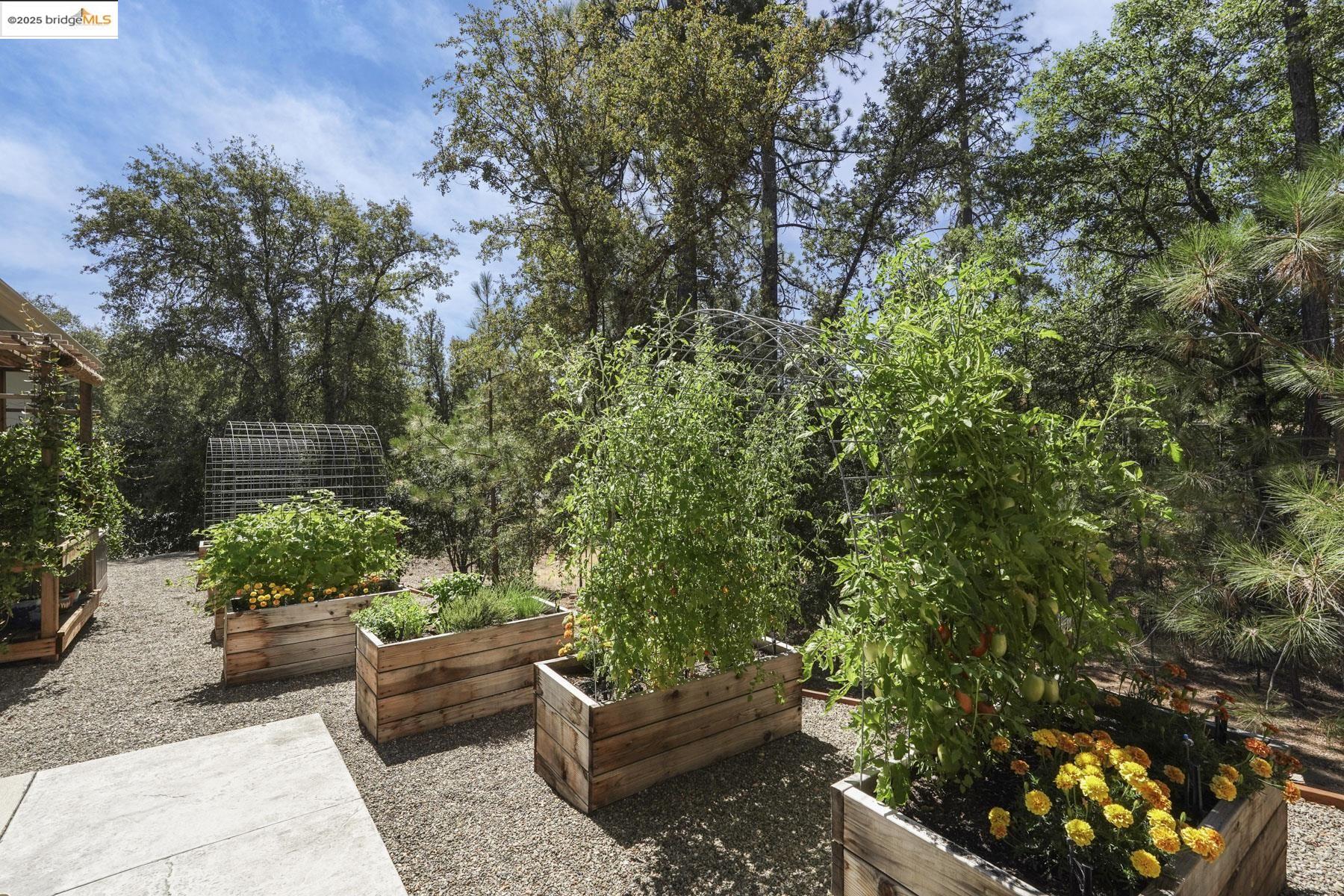 Detail Gallery Image 49 of 57 For 14068 Kyrsta Court, Sonora,  CA 95370 - 3 Beds | 2 Baths