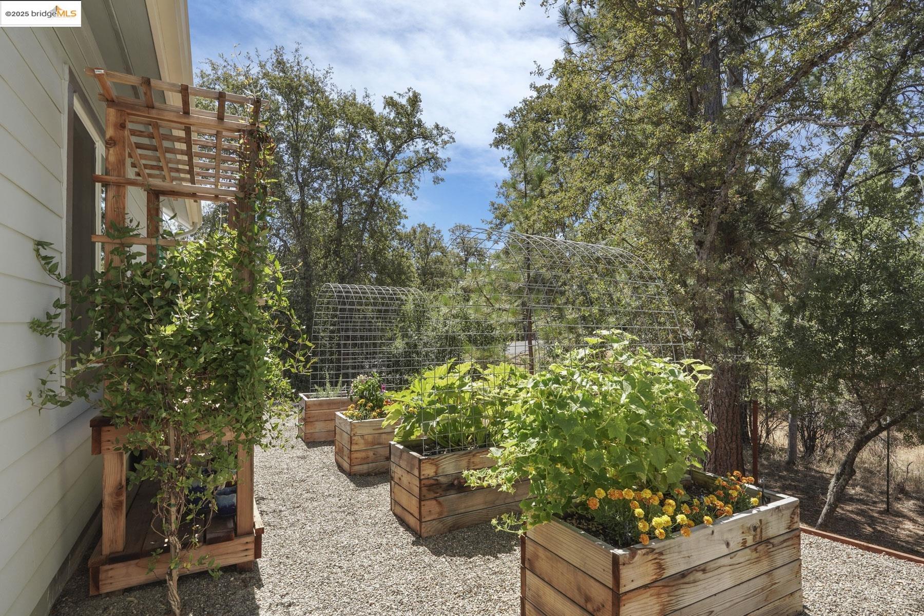 Detail Gallery Image 50 of 57 For 14068 Kyrsta Court, Sonora,  CA 95370 - 3 Beds | 2 Baths