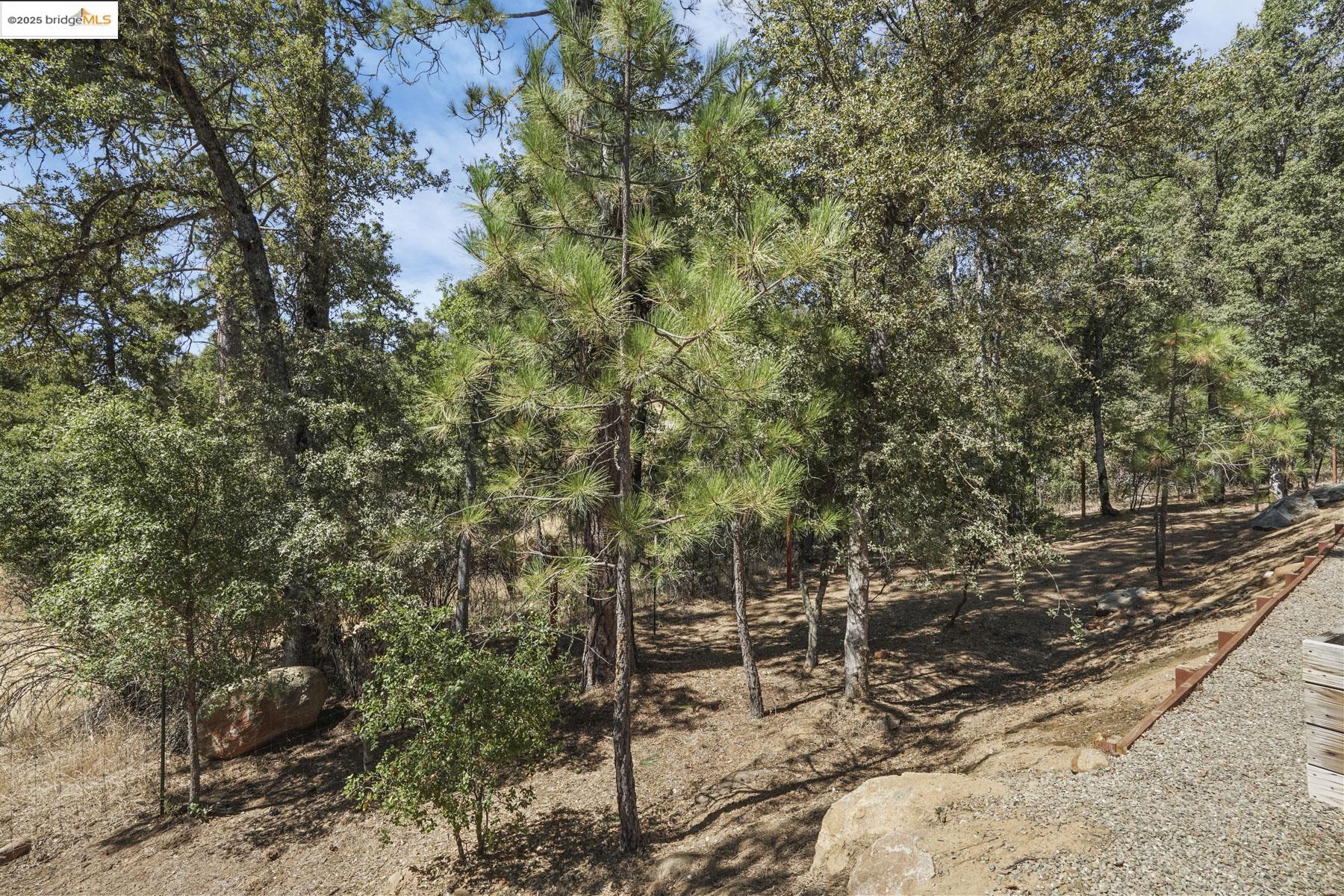 Detail Gallery Image 54 of 57 For 14068 Kyrsta Court, Sonora,  CA 95370 - 3 Beds | 2 Baths