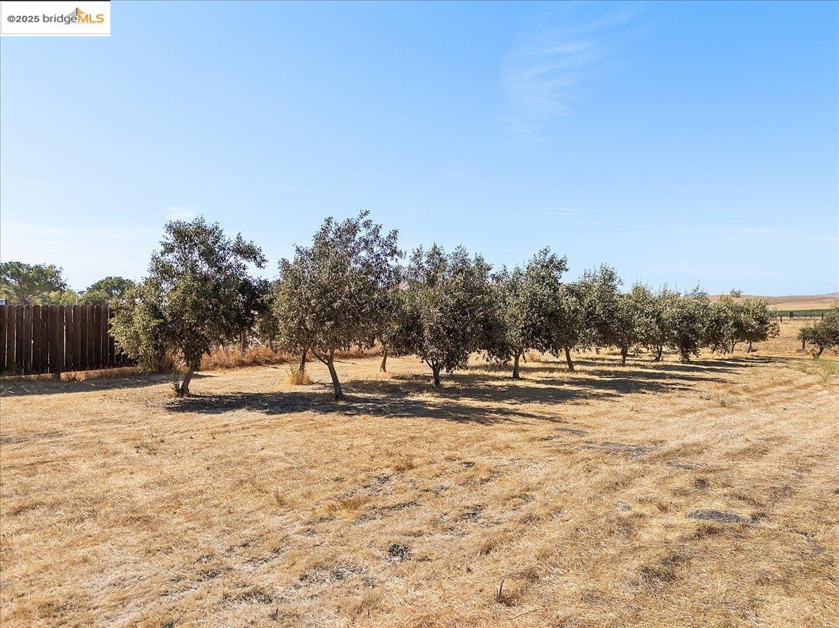Detail Gallery Image 51 of 60 For 5665 Victoria Ln, Livermore,  CA 94550 - 3 Beds | 2 Baths