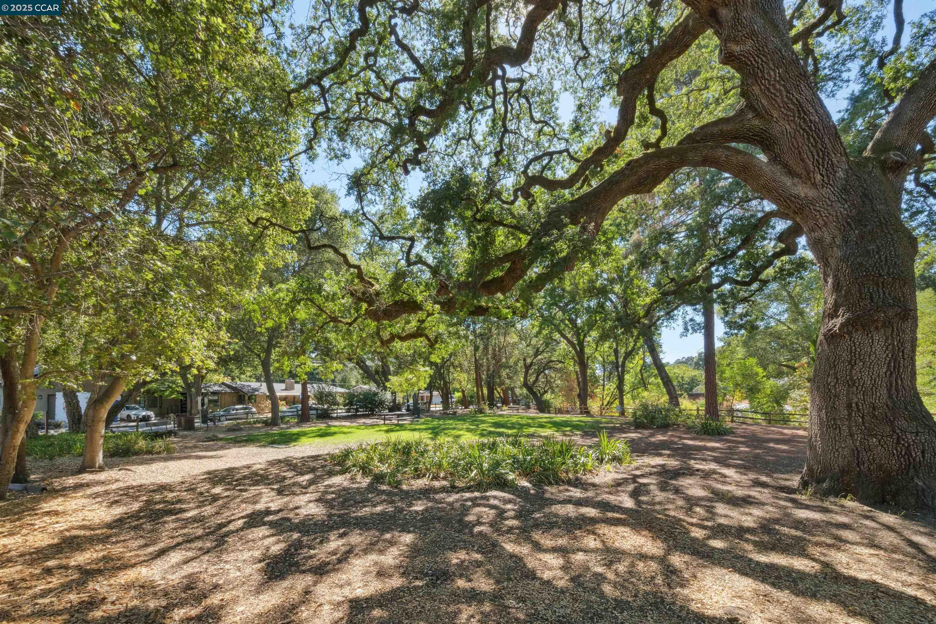 Detail Gallery Image 26 of 27 For 973 4th St, Lafayette,  CA 94549 - 3 Beds | 2 Baths