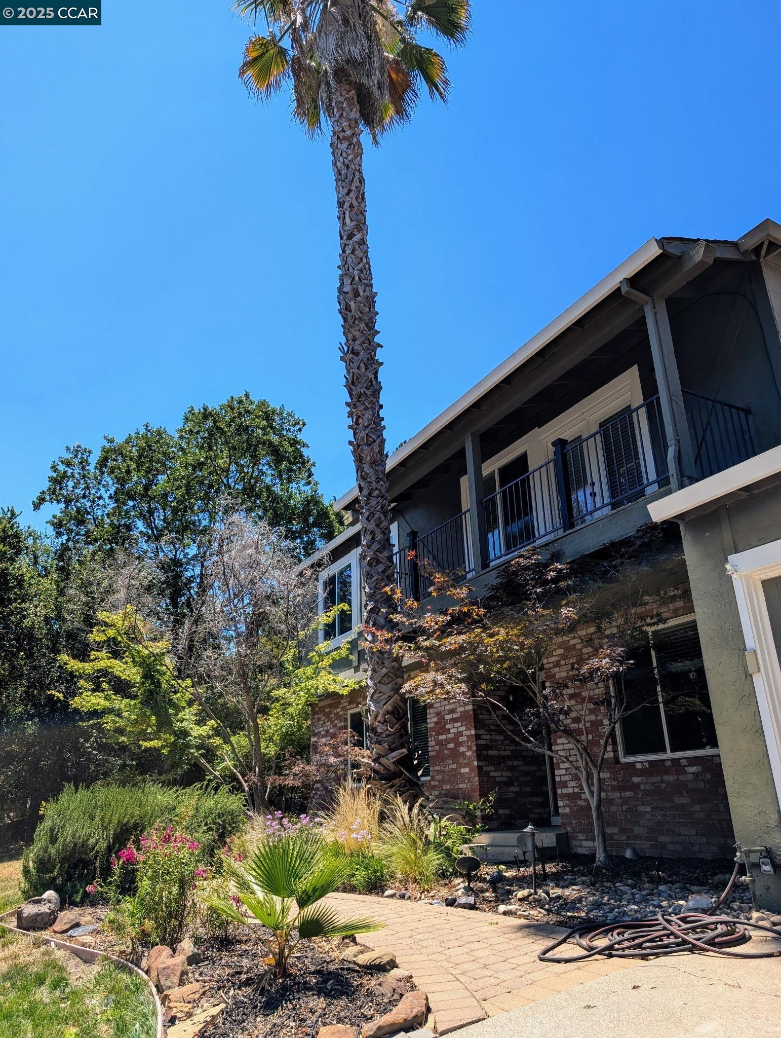 Detail Gallery Image 2 of 23 For 310 Miranda Ln, Alamo,  CA 94507 - 5 Beds | 3 Baths
